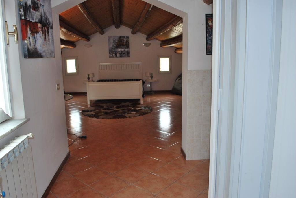 Фото Ai Paladini