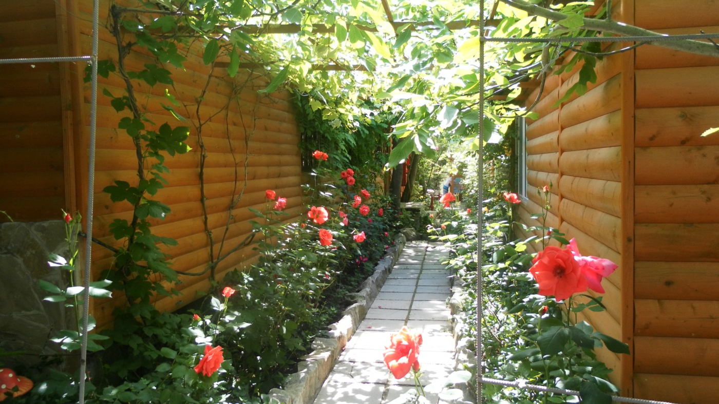 Фото Солнечное Море