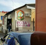 Magazin Chipollino (Orenburg, Pobedy Avenue, 116/4), seed shop