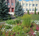 Дом культуры (selo Tyushevka, Tsentralnaya ulitsa, 18), house of culture