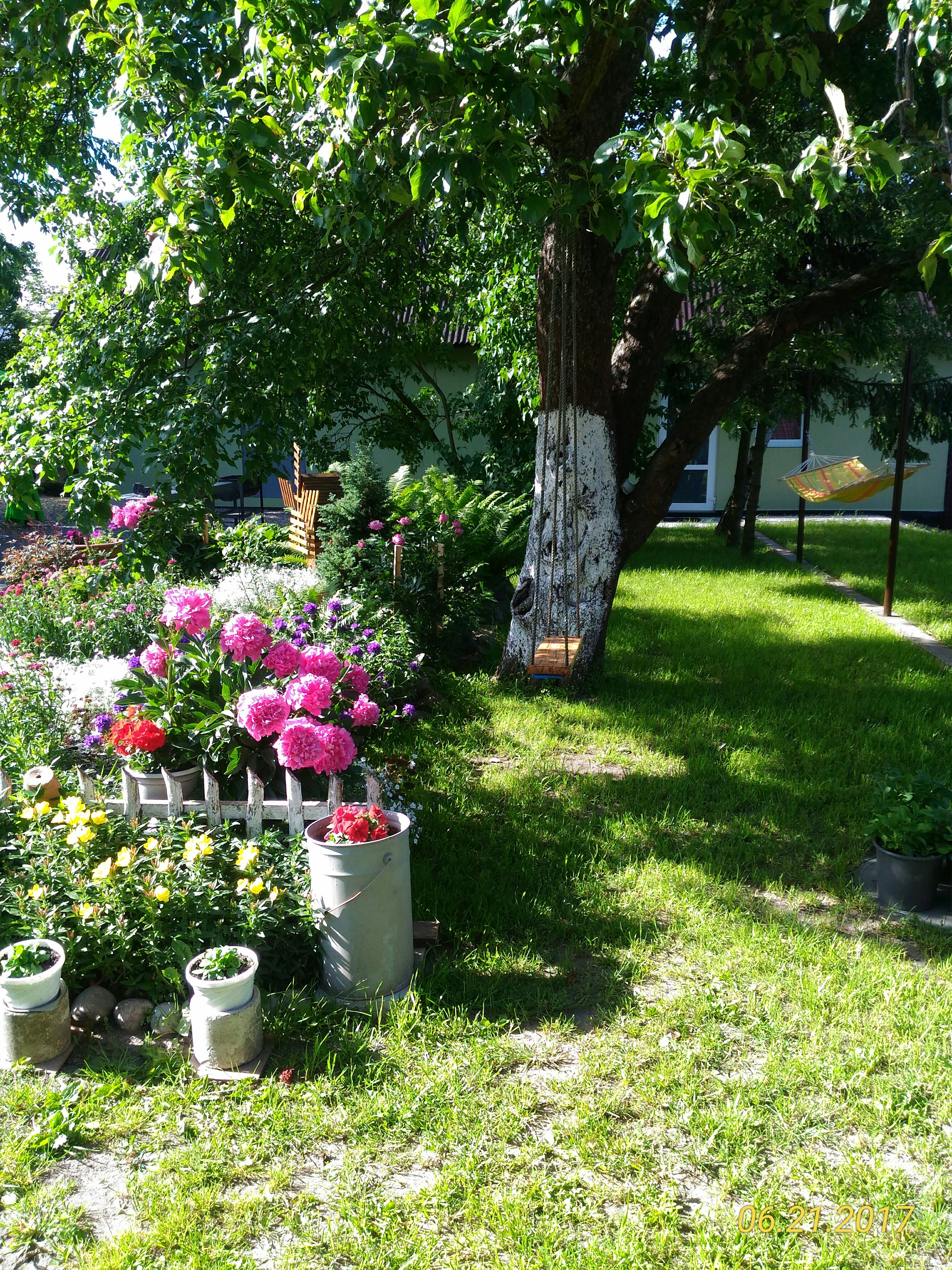 Фото Домик в Деревне