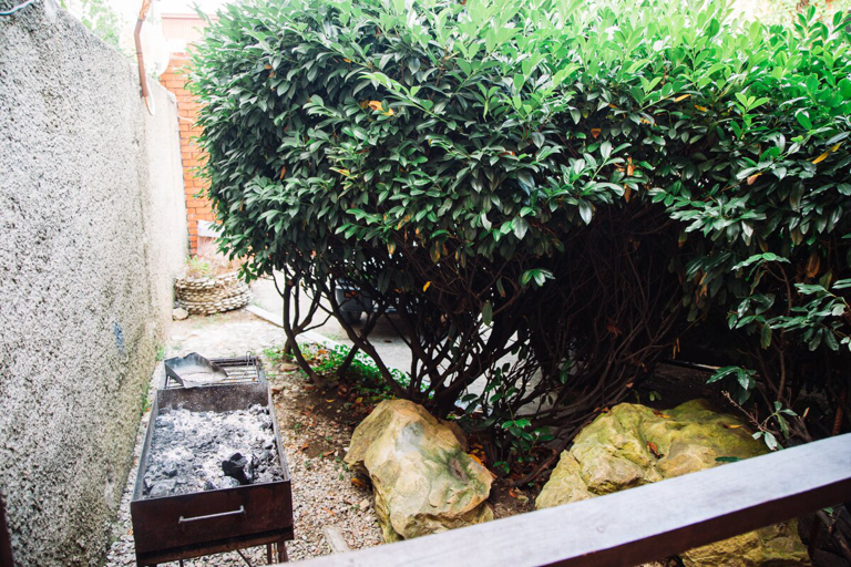 Фото Парус 50