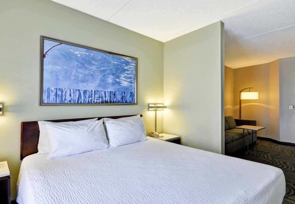 Фото SpringHill Suites by Marriott Austin Round Rock