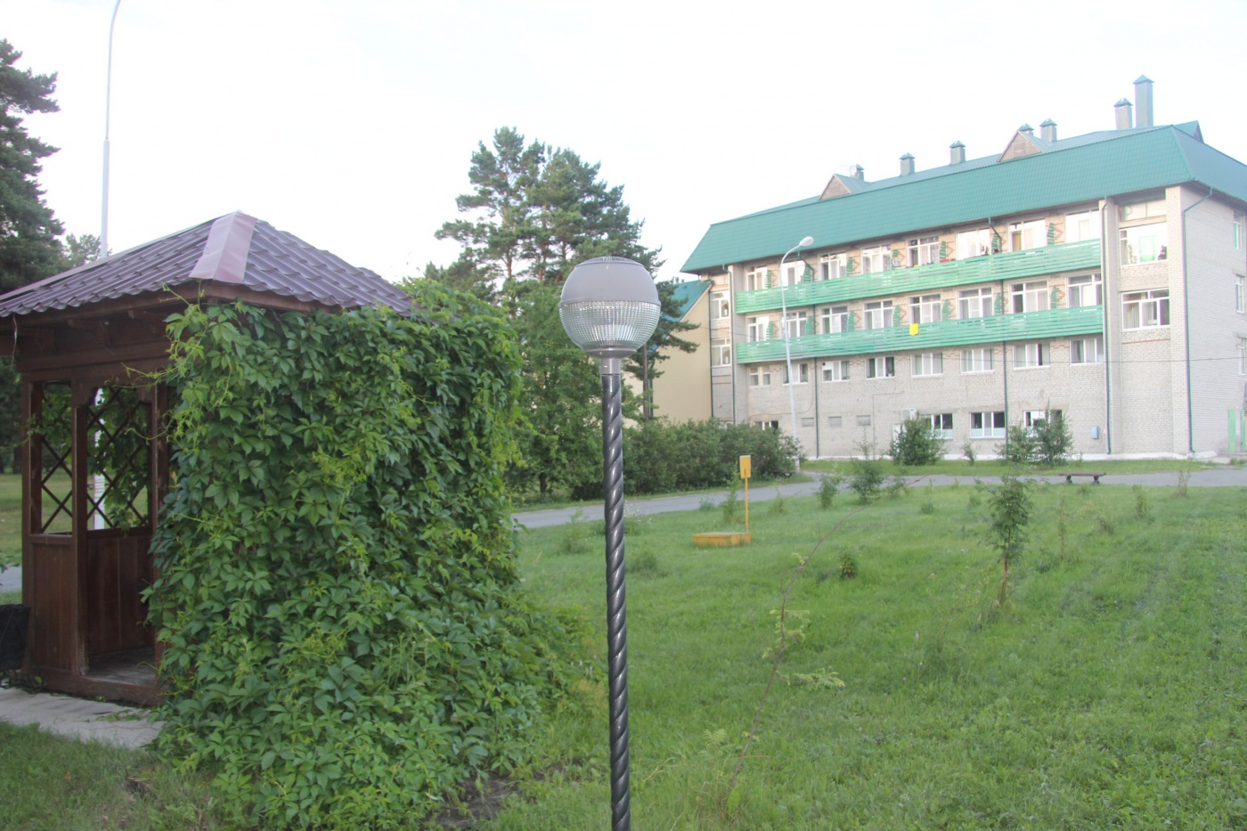 Фото Сосновый Бор