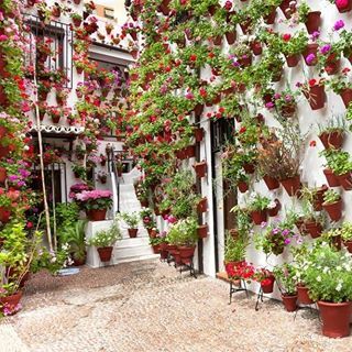 Фото Ayre Hotel Sevilla