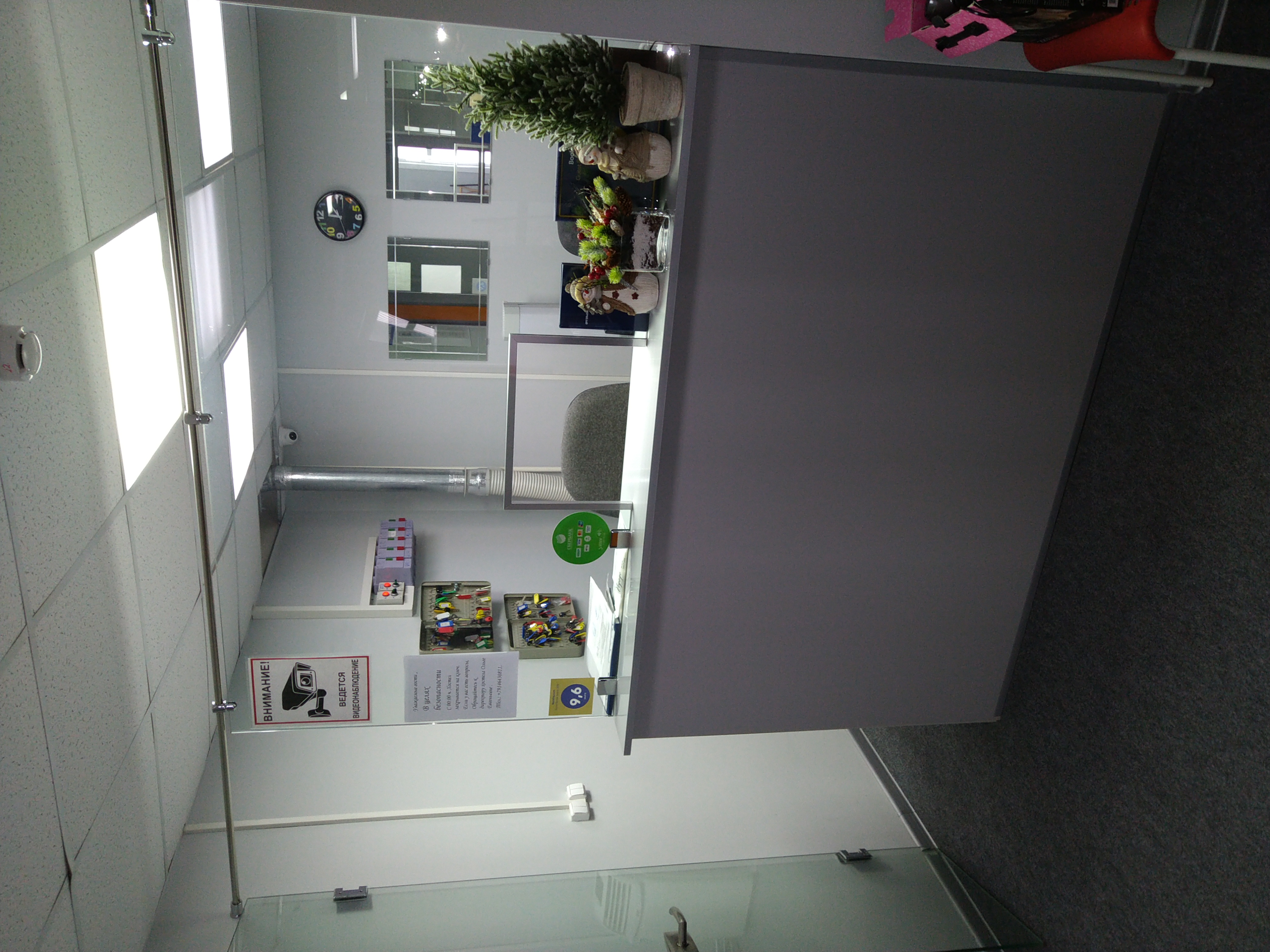 Фото Овсянка