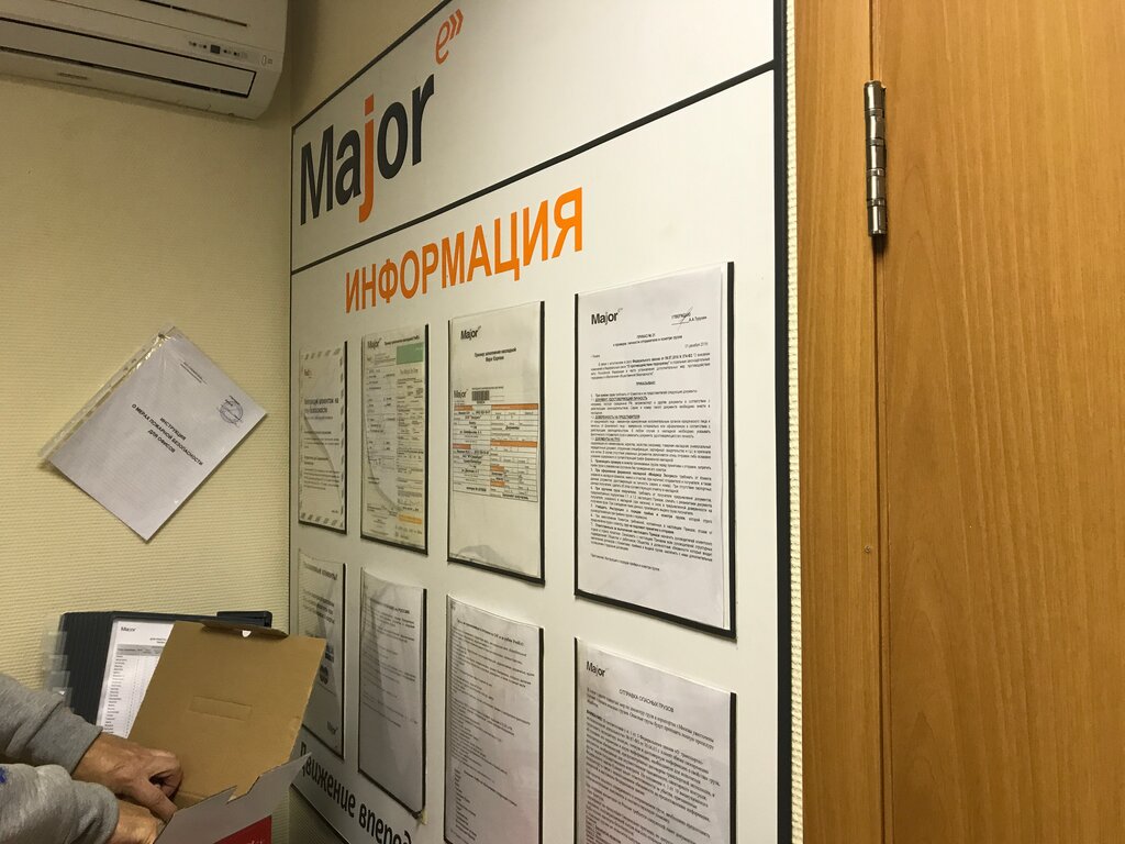 Мэйджор цветочный шкода