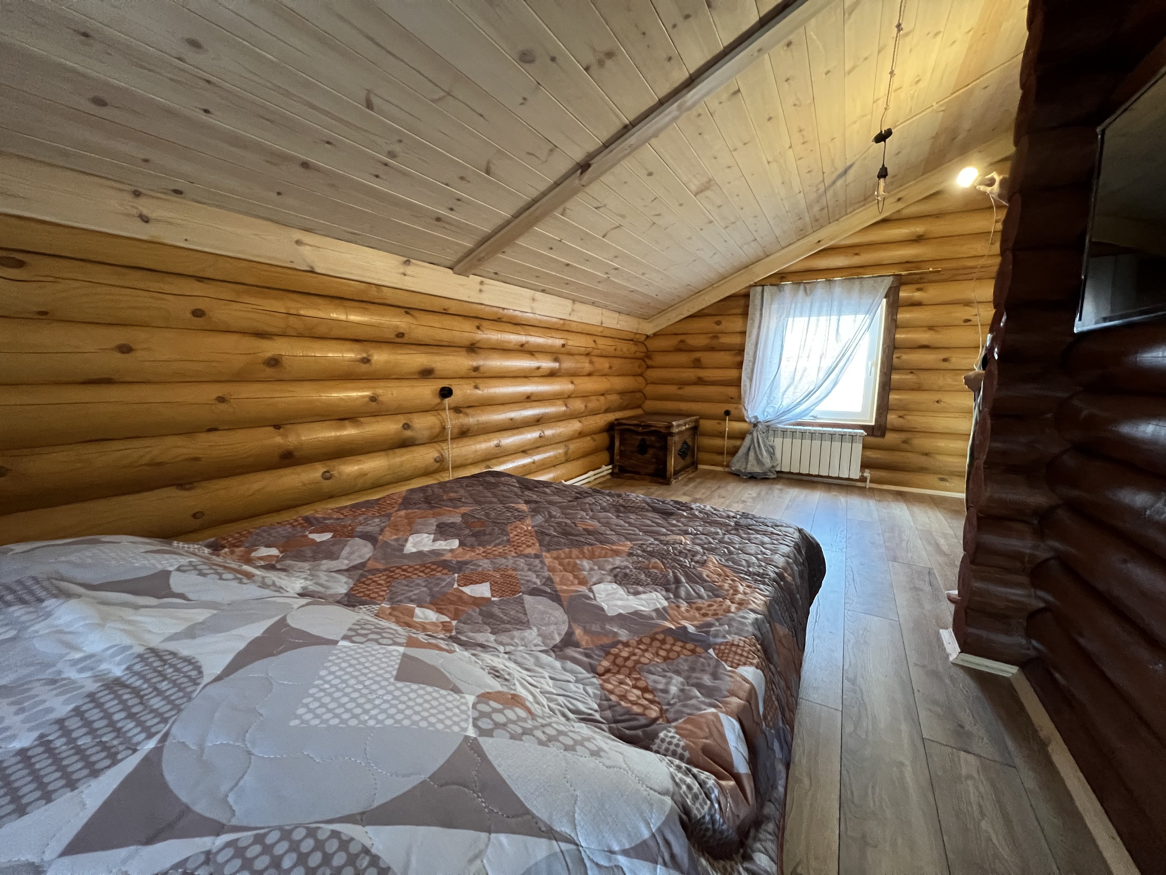 Фото Медоед