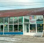 Цветочная радуга (Primorye Territory, Vladivostok, Lugovaya street), floristeria