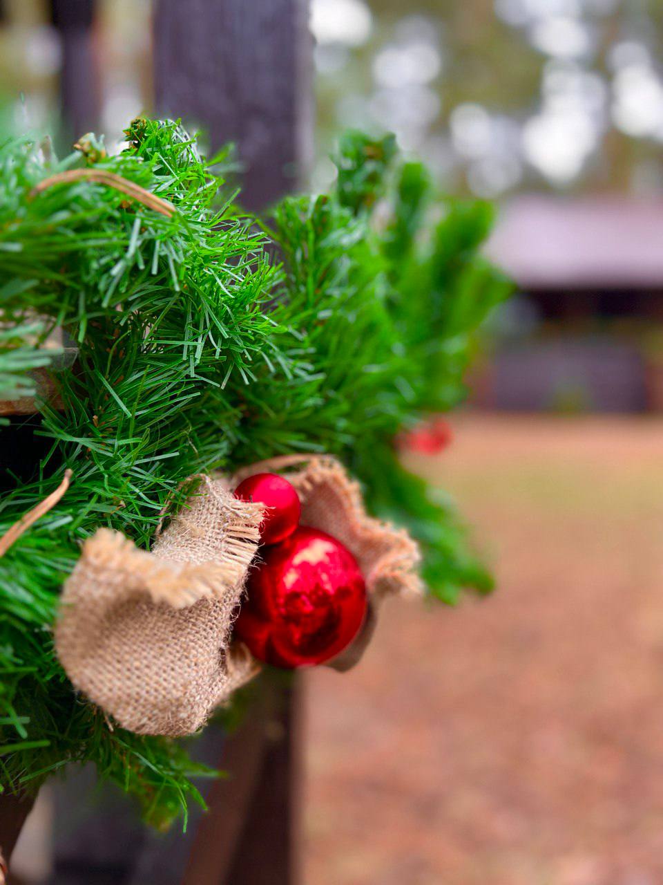 Фото Черепашьи озёра