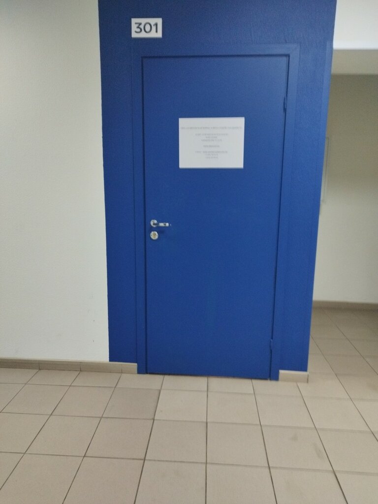 Empresa auditora Sfera sodeystviya biznesu, , foto