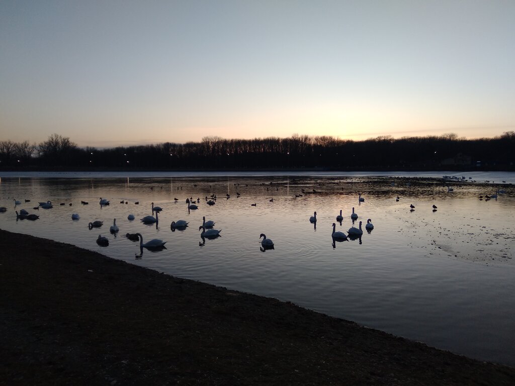 Park сквер имени Ованесова, Armavir, photo