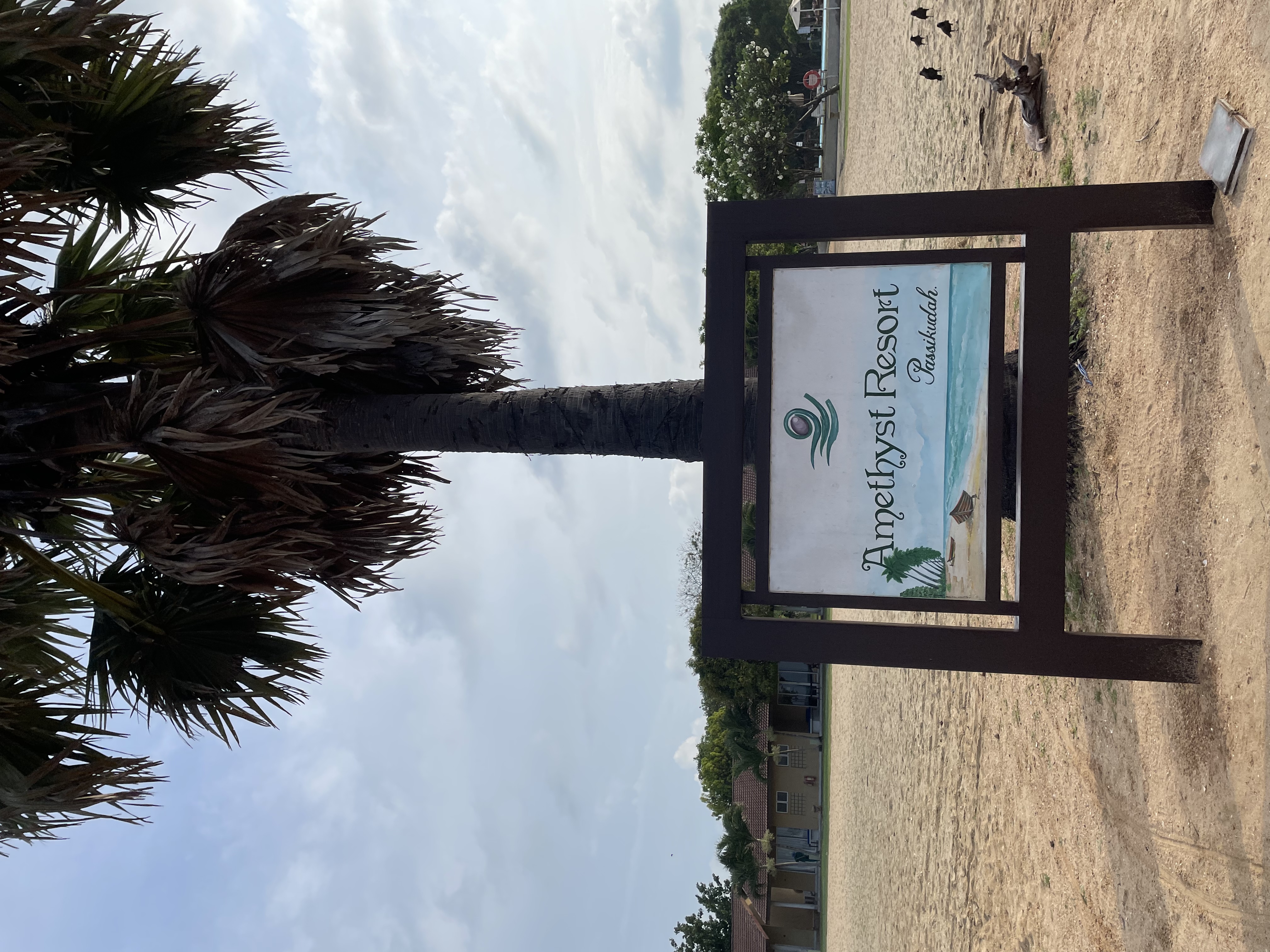 Фото Amethyst Resort Passikudah