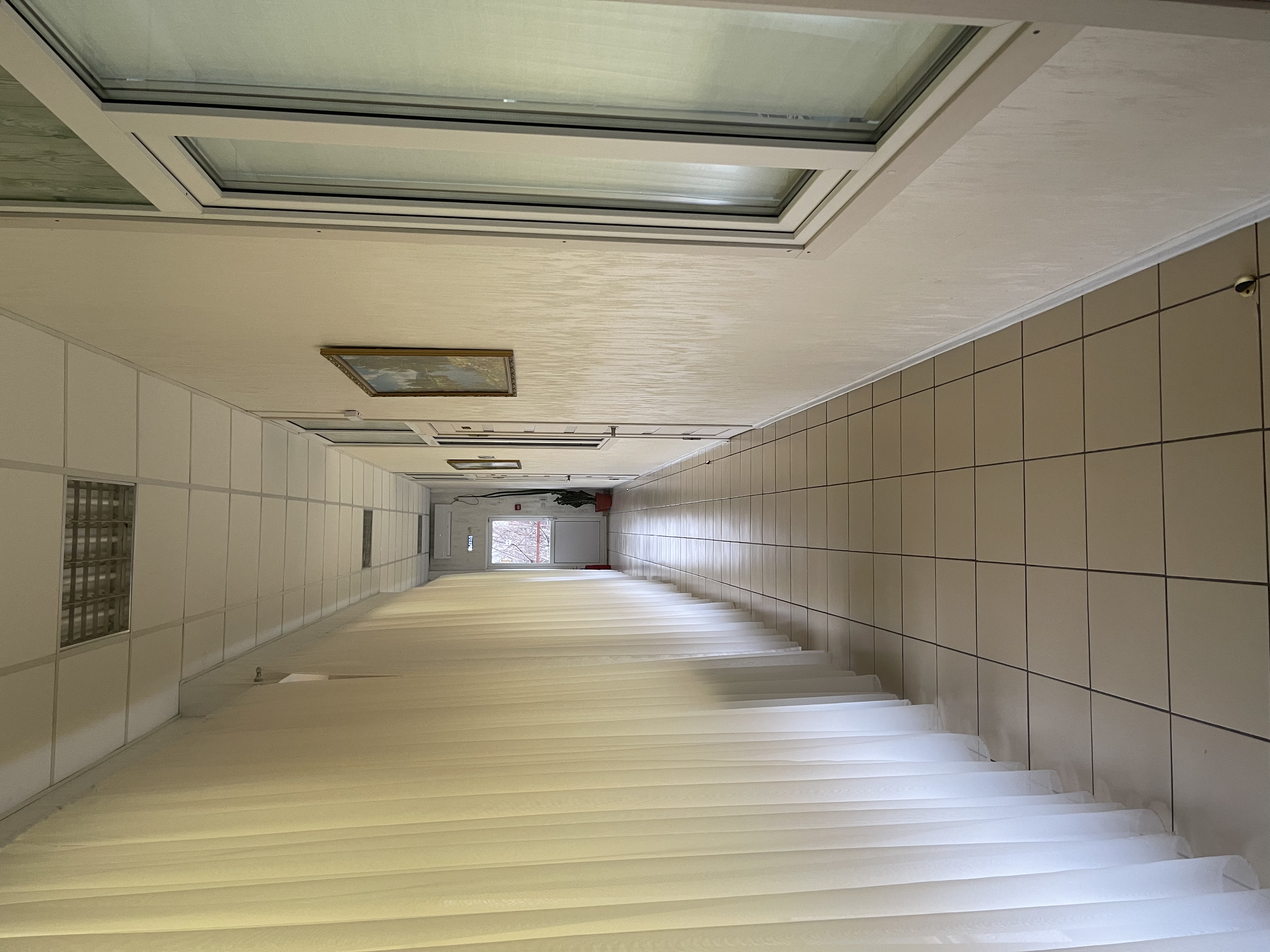 Фото Солнечный