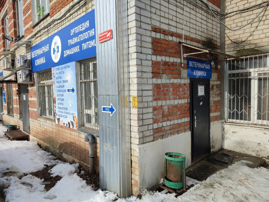 Ветеринарная клиника ул декабристов 18а фото