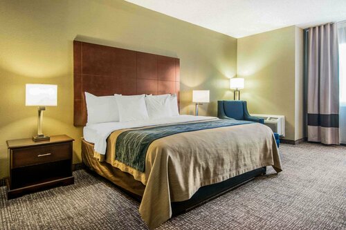 Гостиница Comfort Inn Atlanta Downtown South в Атланте
