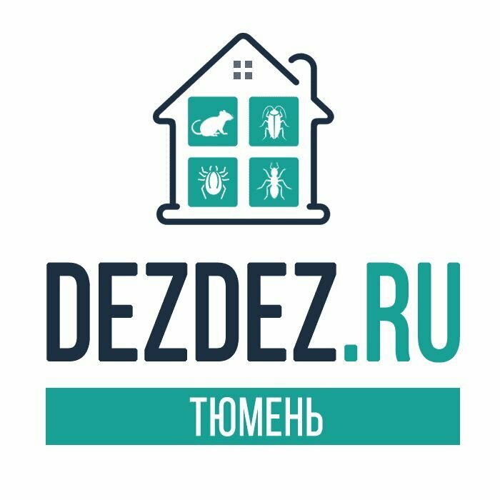 DezDez Тюмень