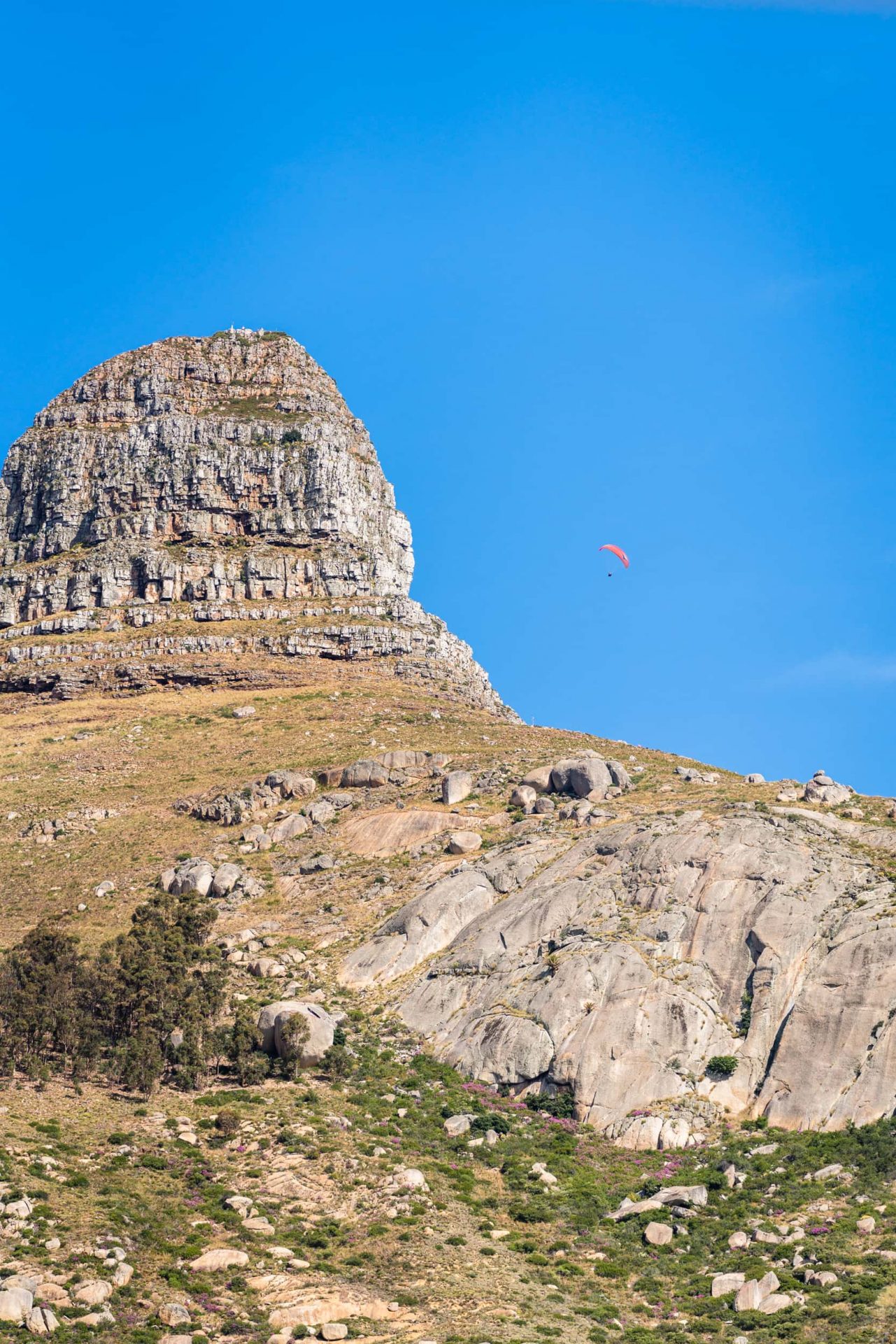 Фото 115155273880