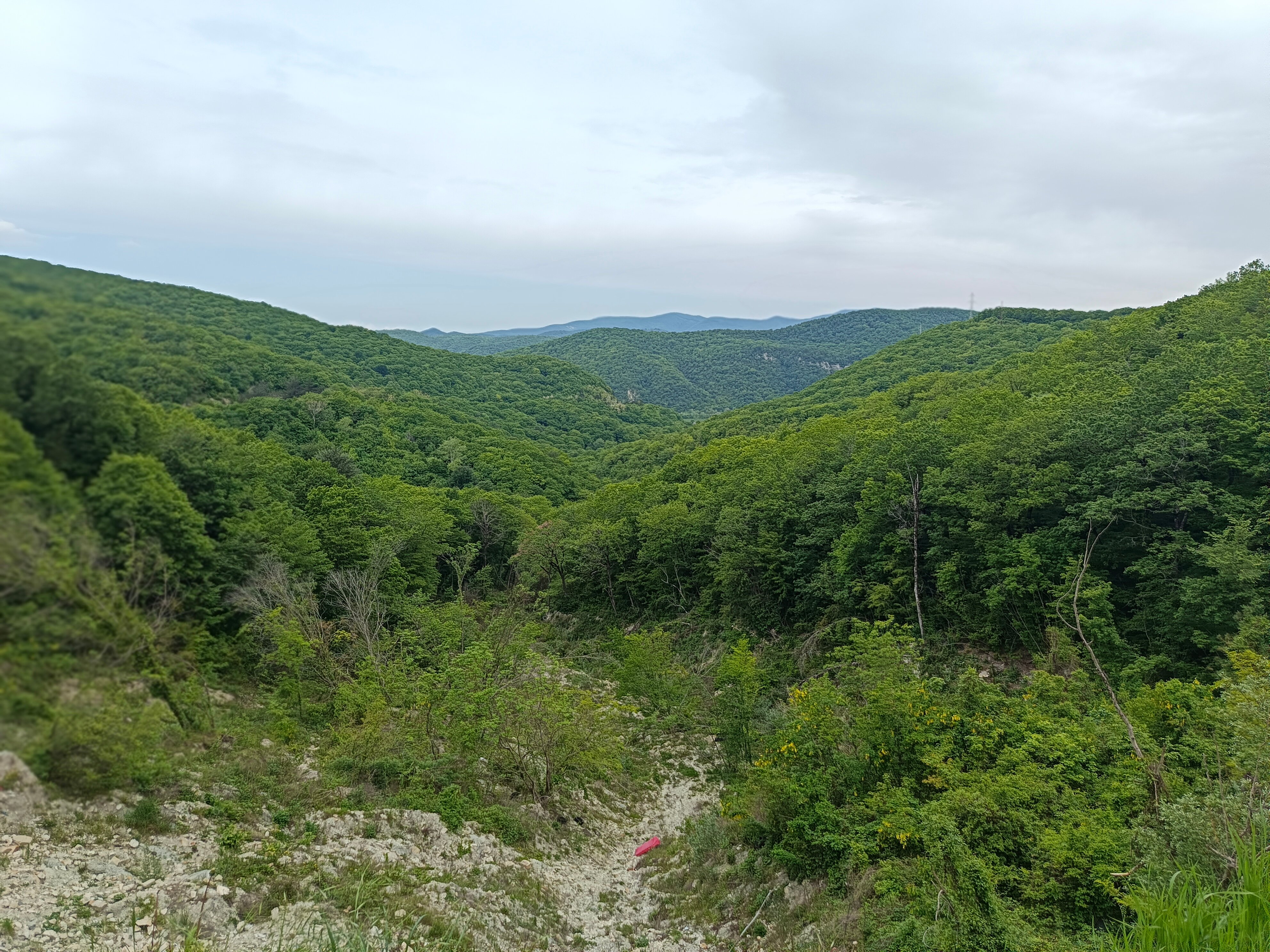 Фото АкваМария