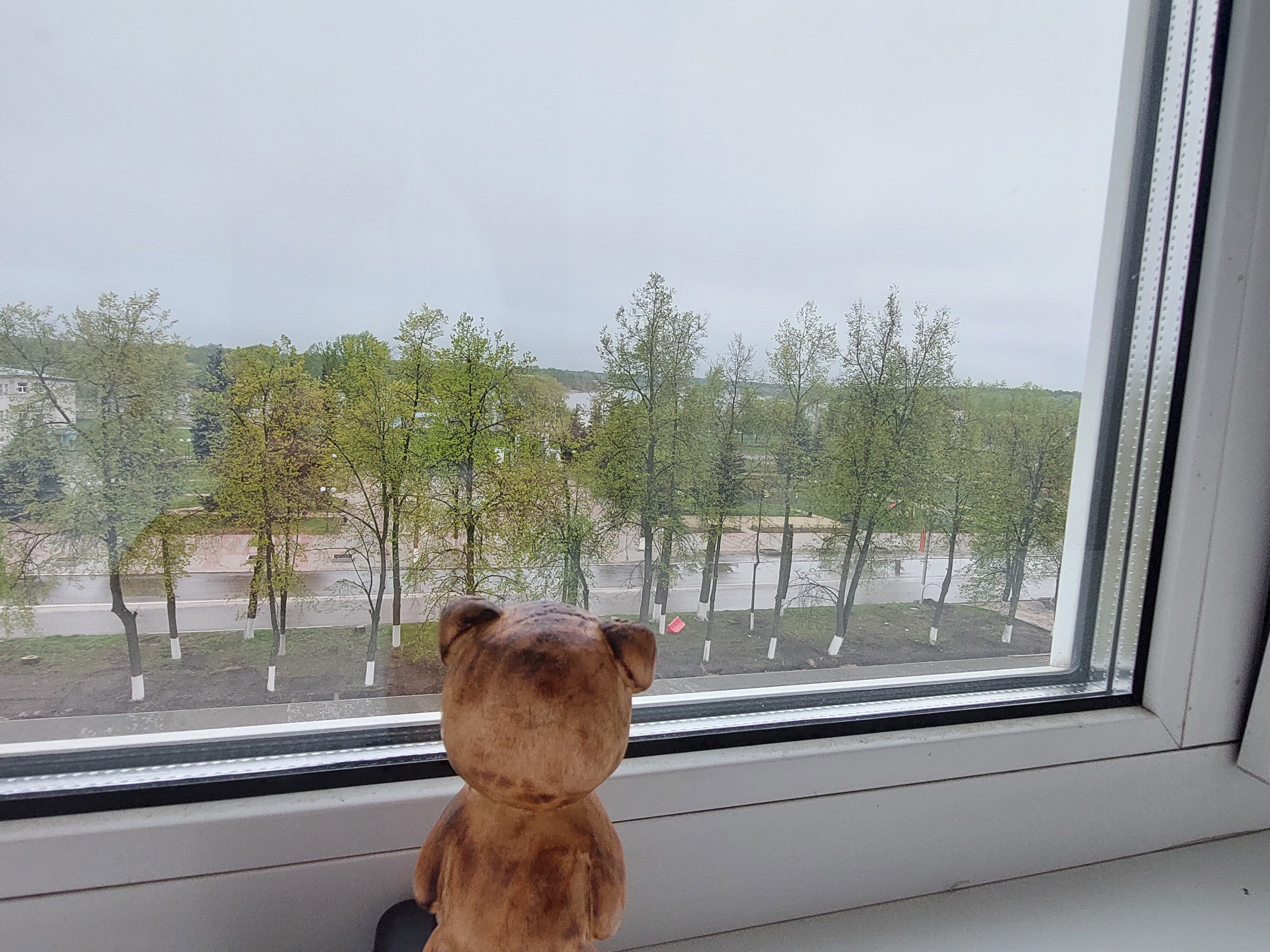 Фото Мещера