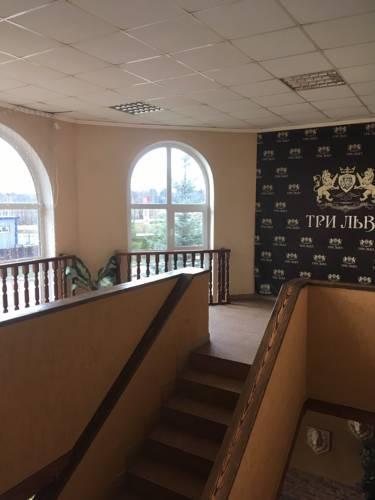 Фото Три льва