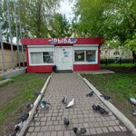 Рыба (ulitsa Lenina, 40/1) ، الأسماك والمأكولات البحرية