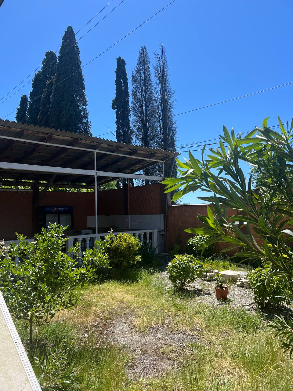 Фото Колорит