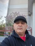 Snt Kosino (СНТ Косино, 44), asociaciones y sociedades hortícolas