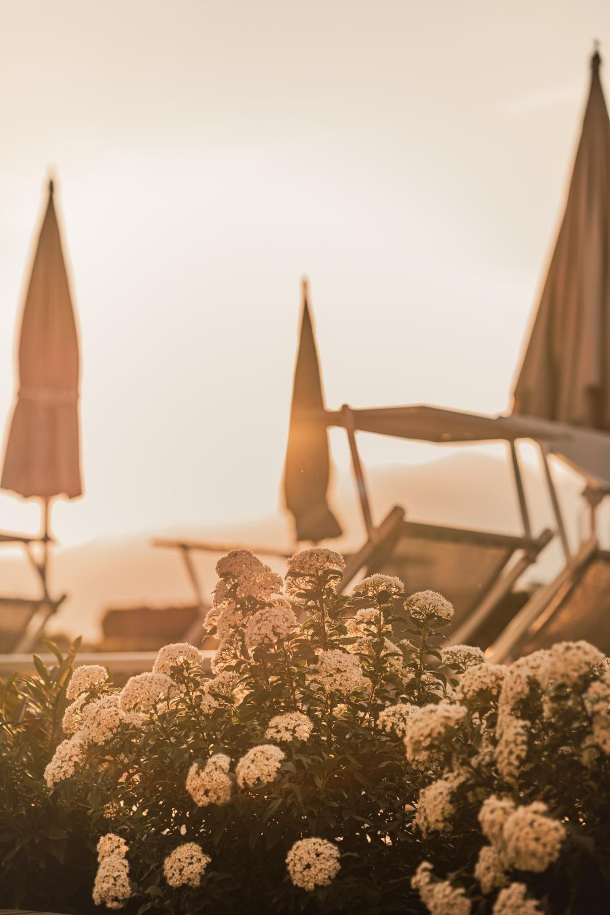 Фото Cristallo Sport & Wellness