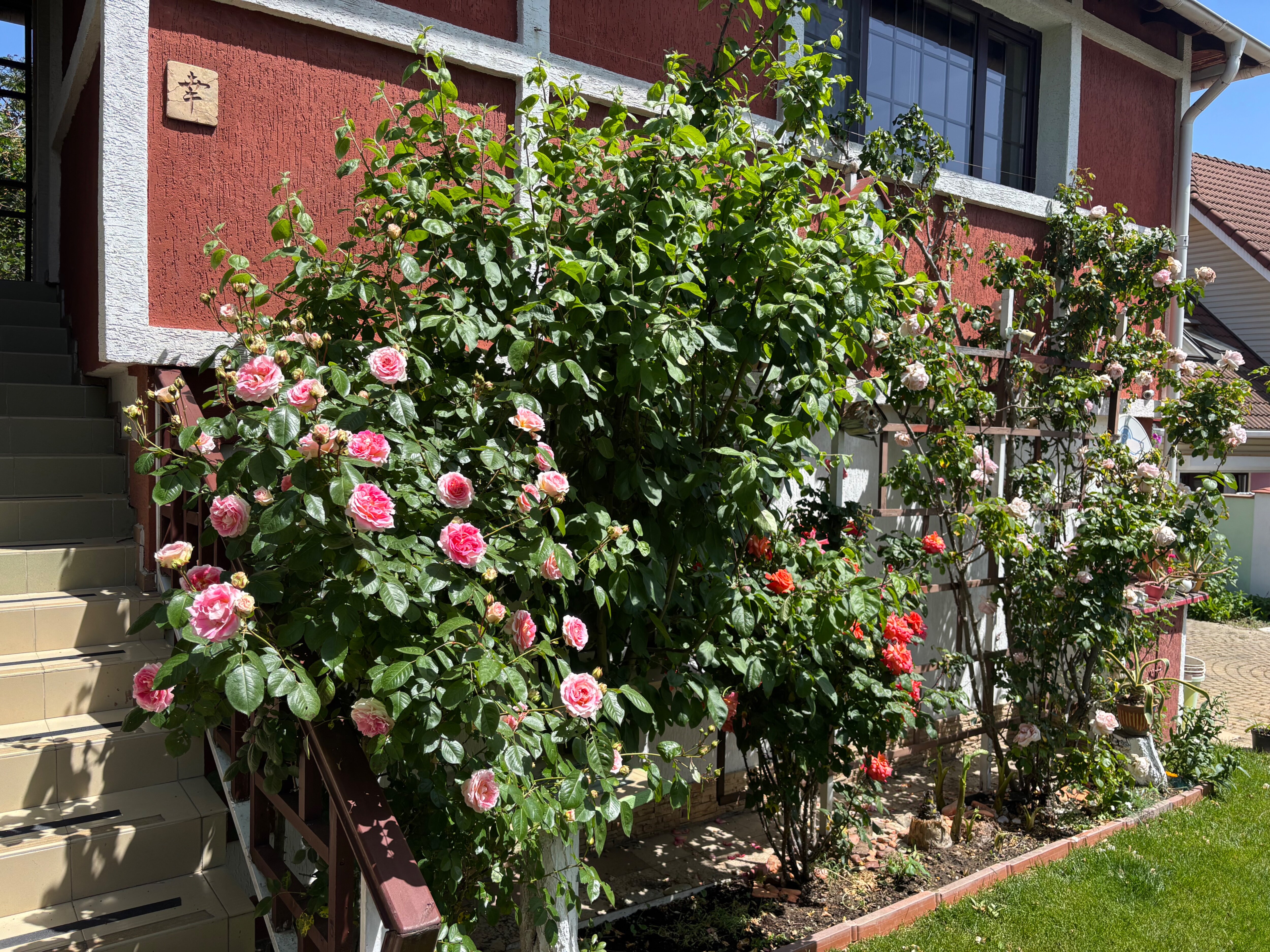 Фото Вилла София