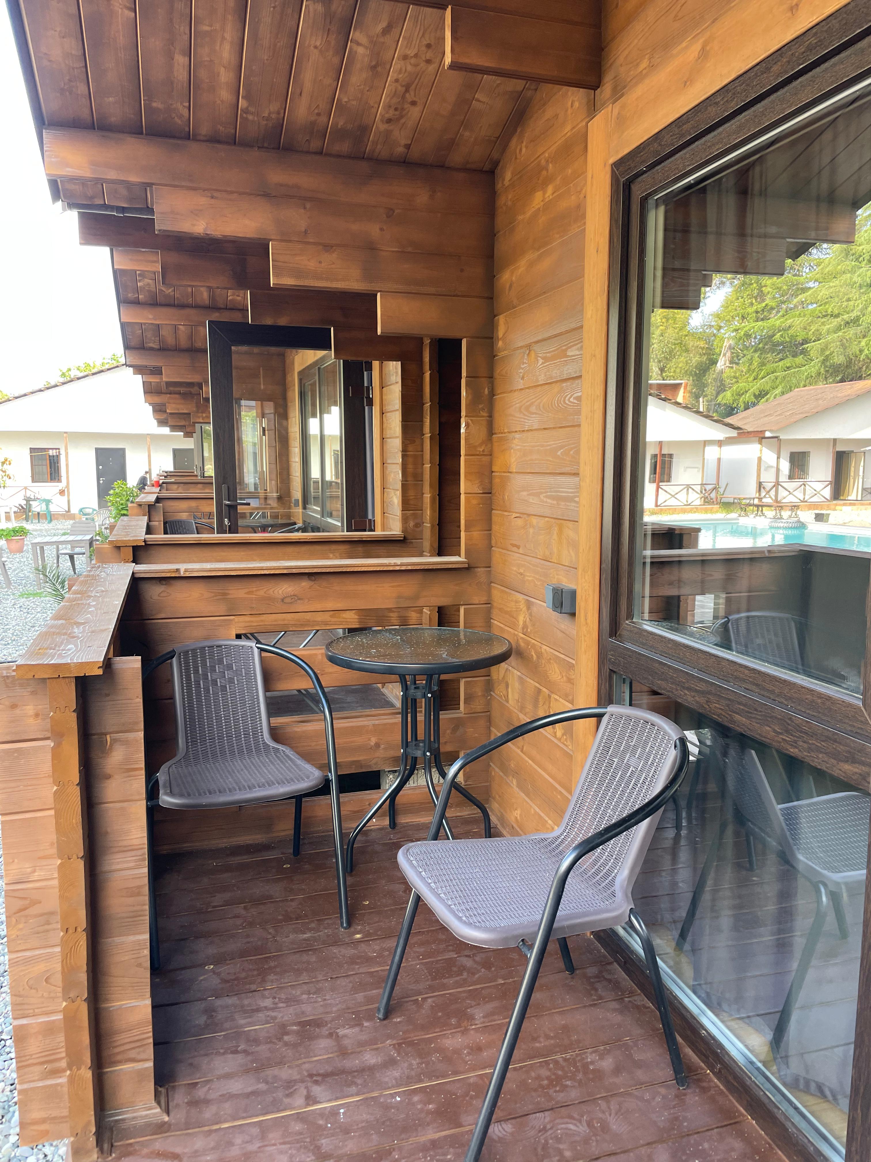 Фото Эвкалипт