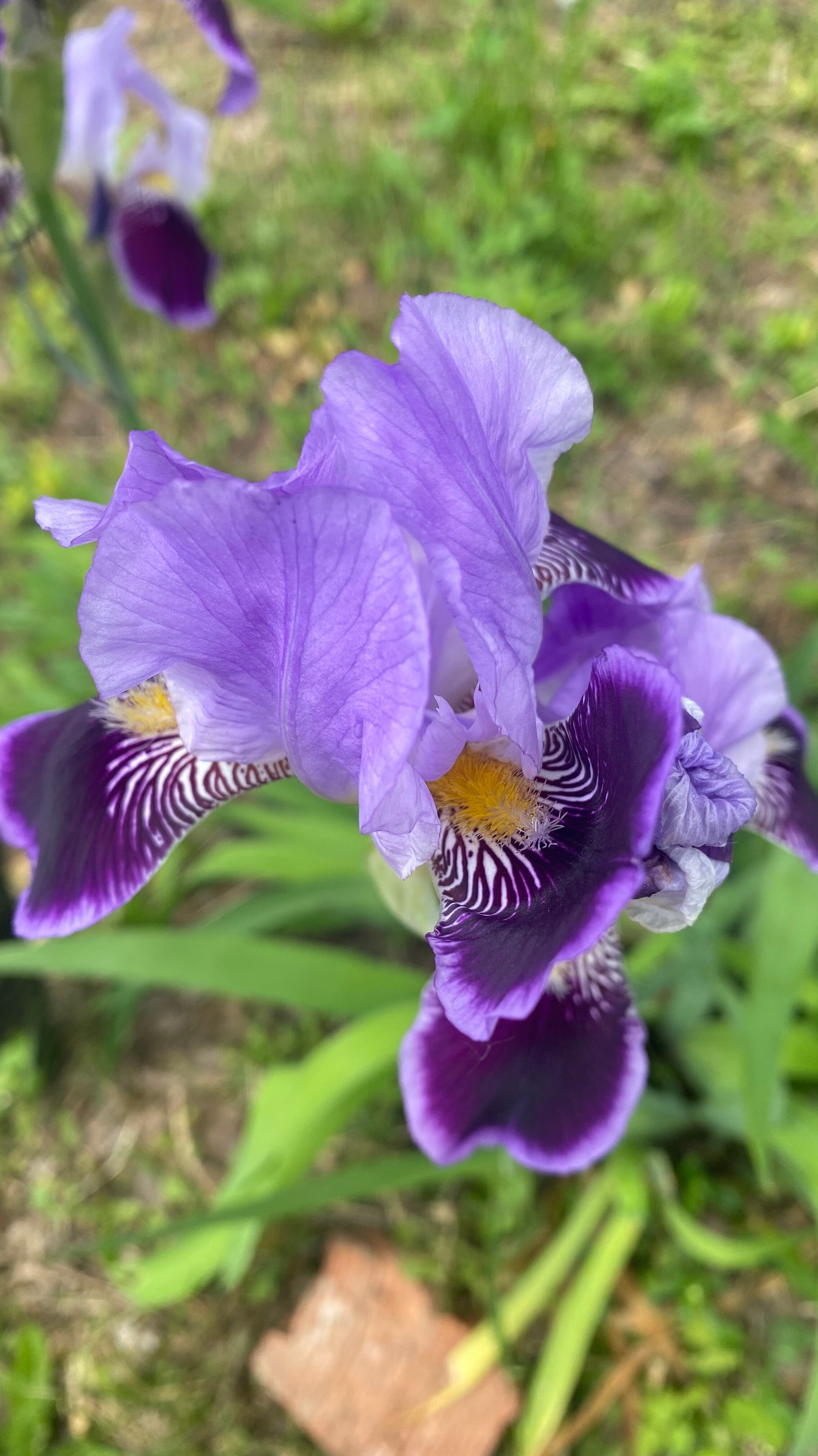 Фото Акварель