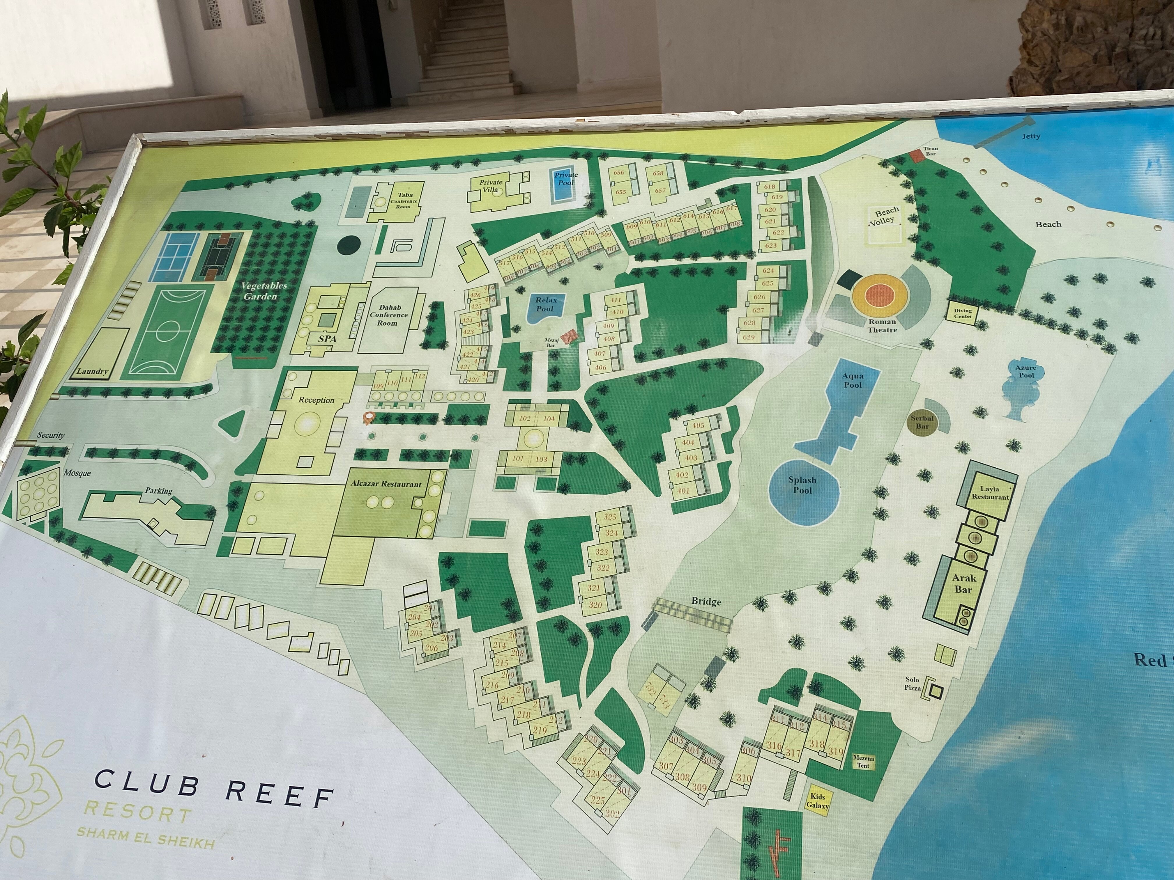 Фото Club Reef Resort