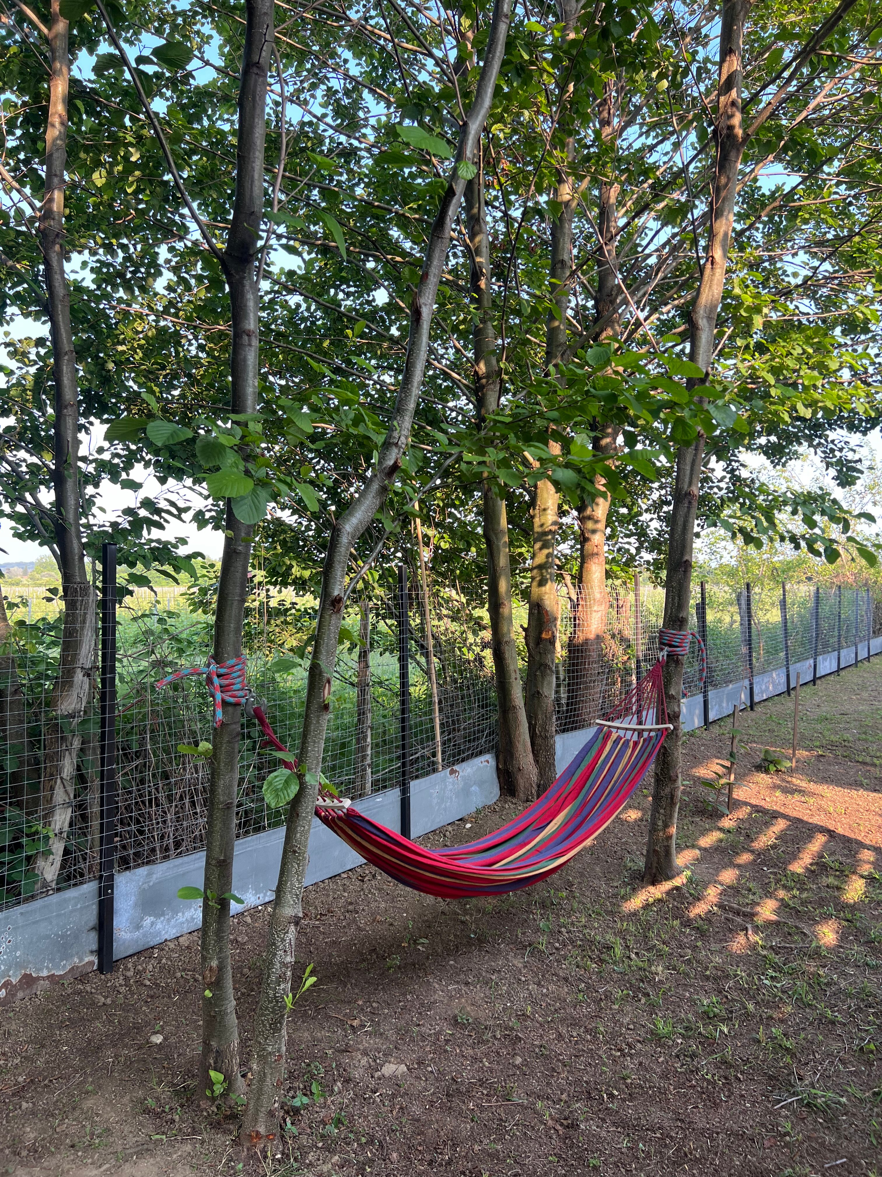 Фото Ha&se village