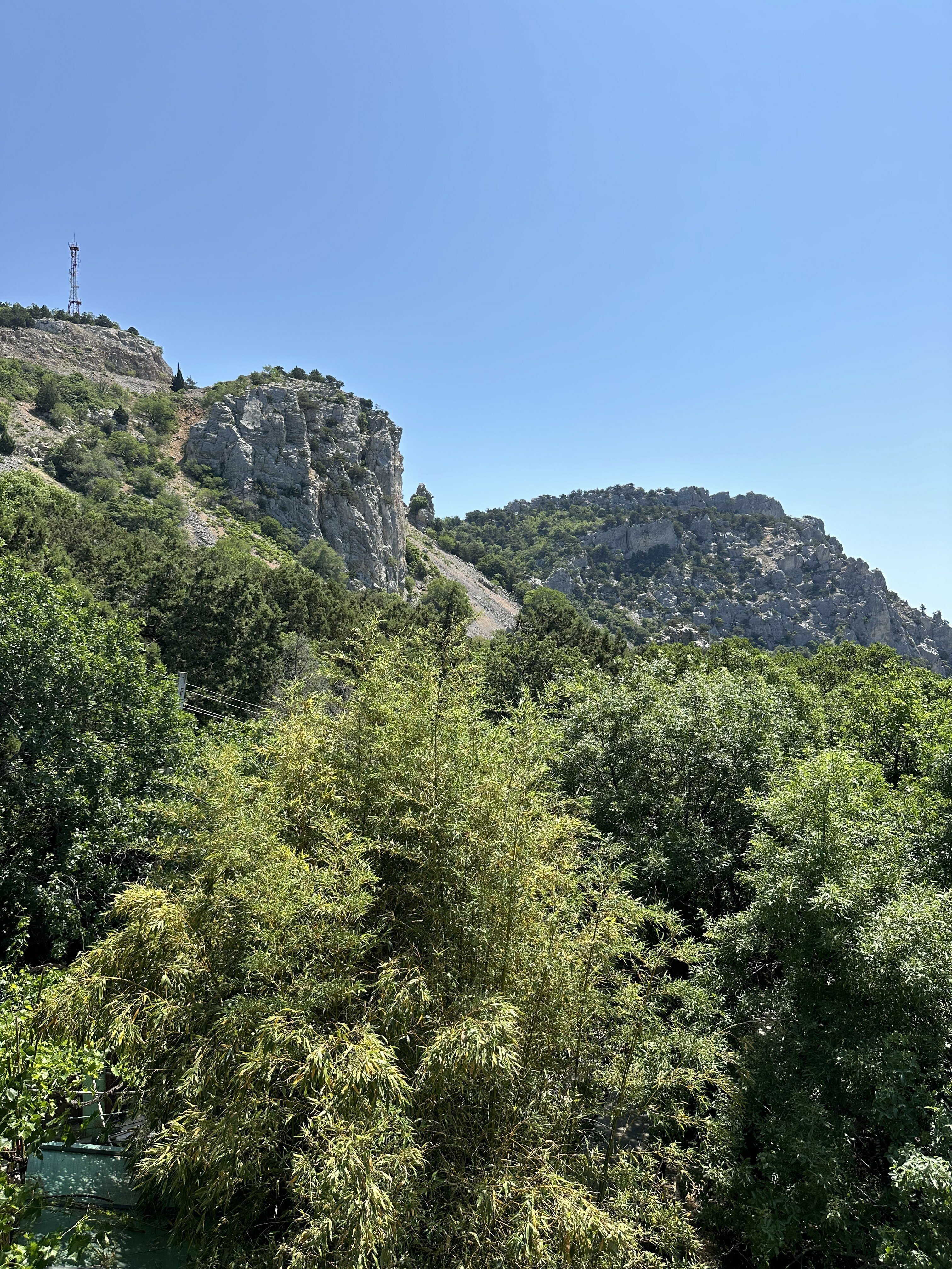 Фото Теремок