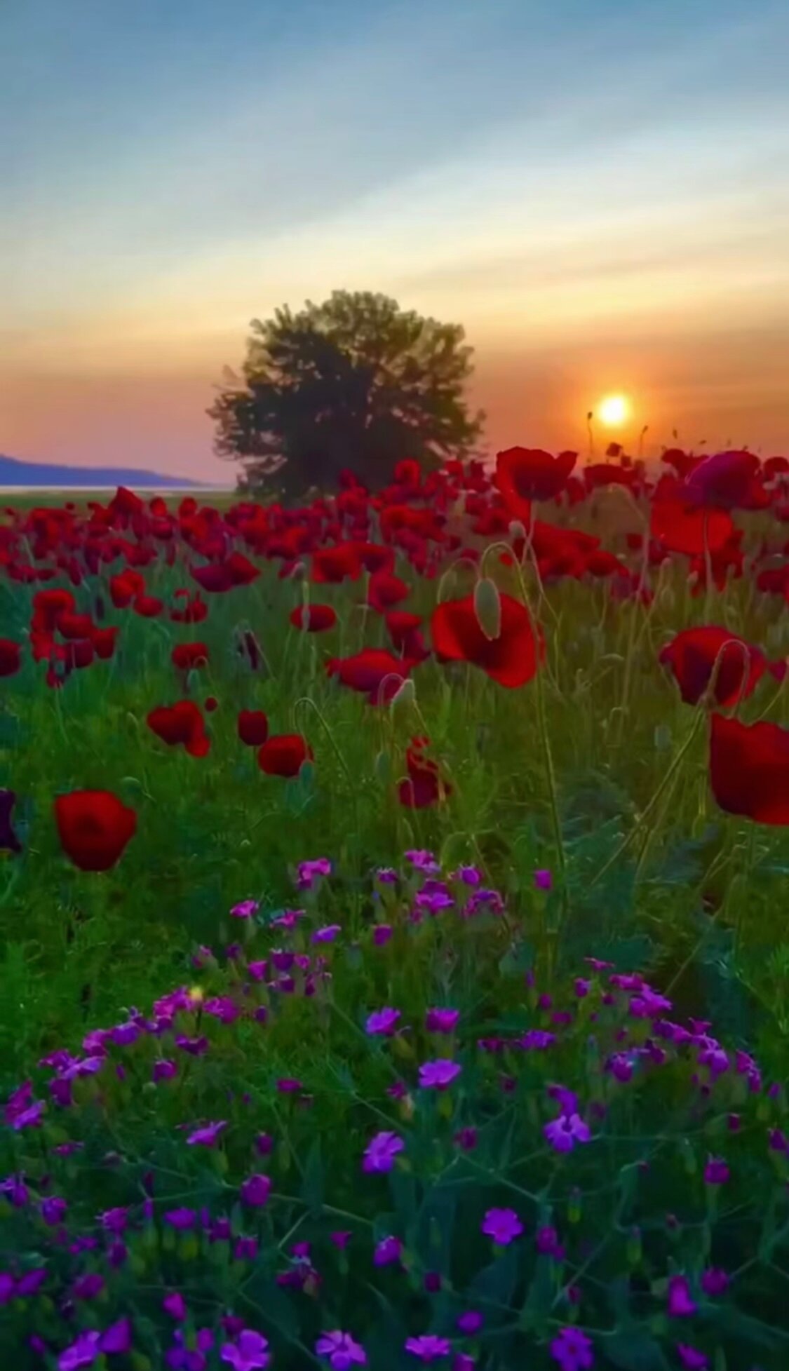 Фото Отдых и точка