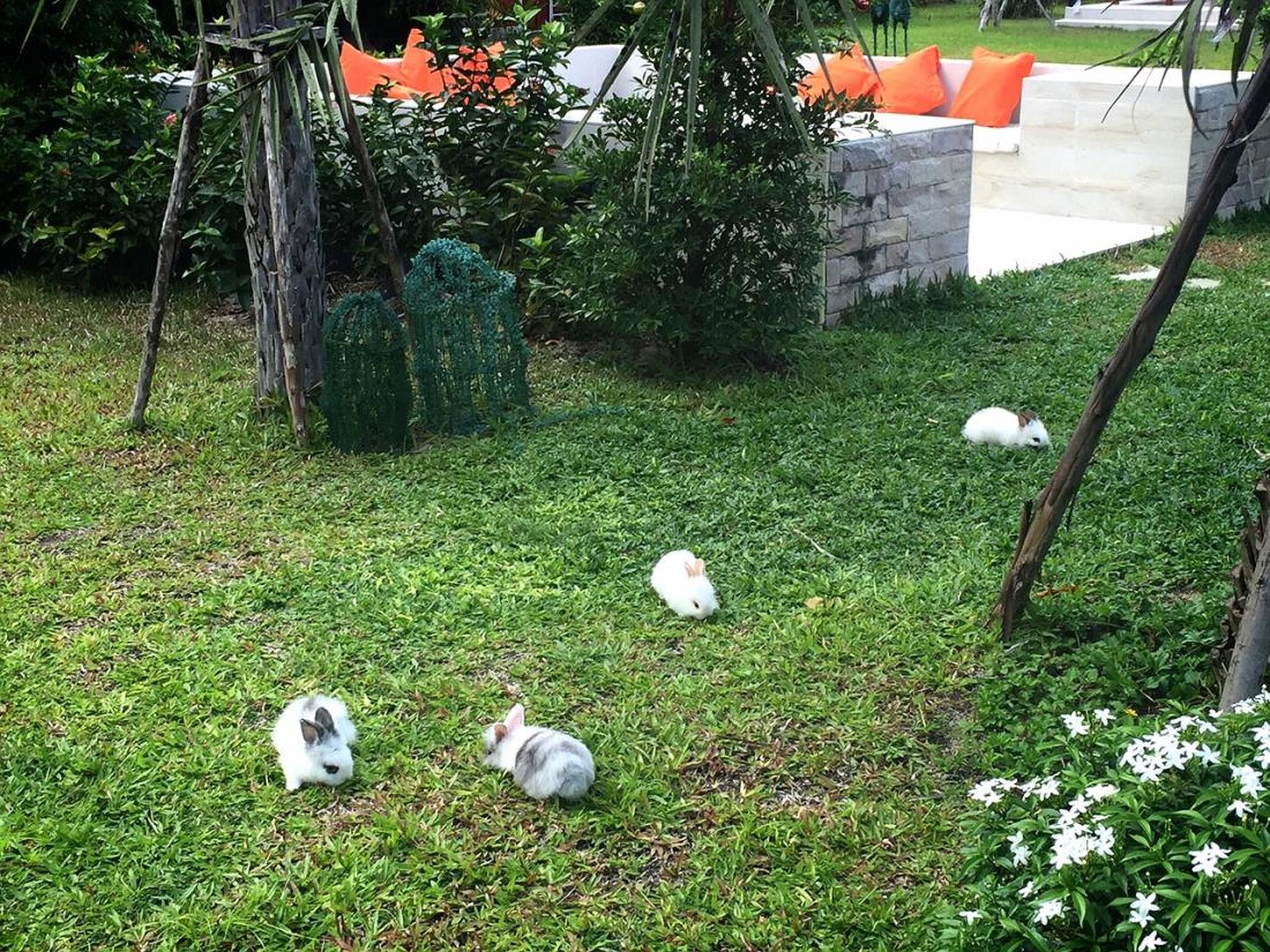 Фото V Valley Resort