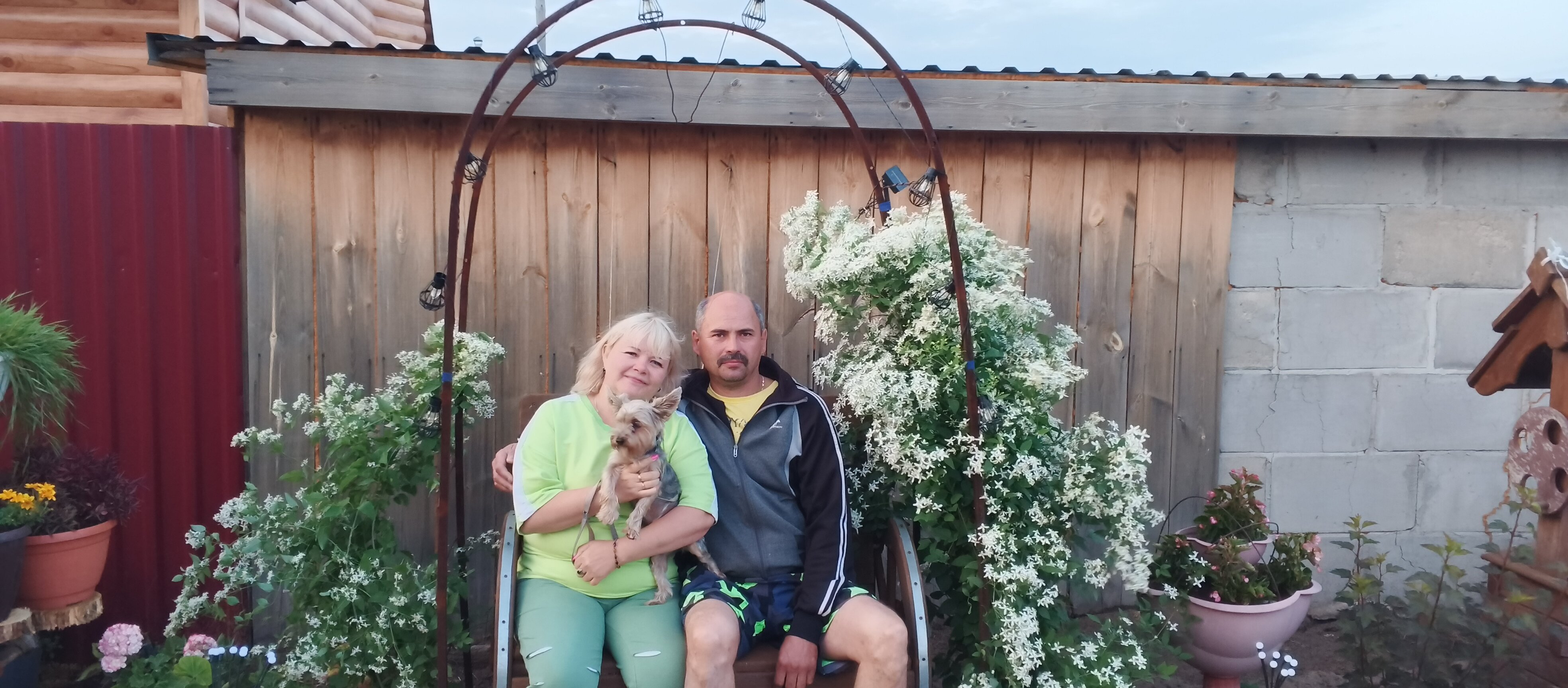 Фото Фламинго