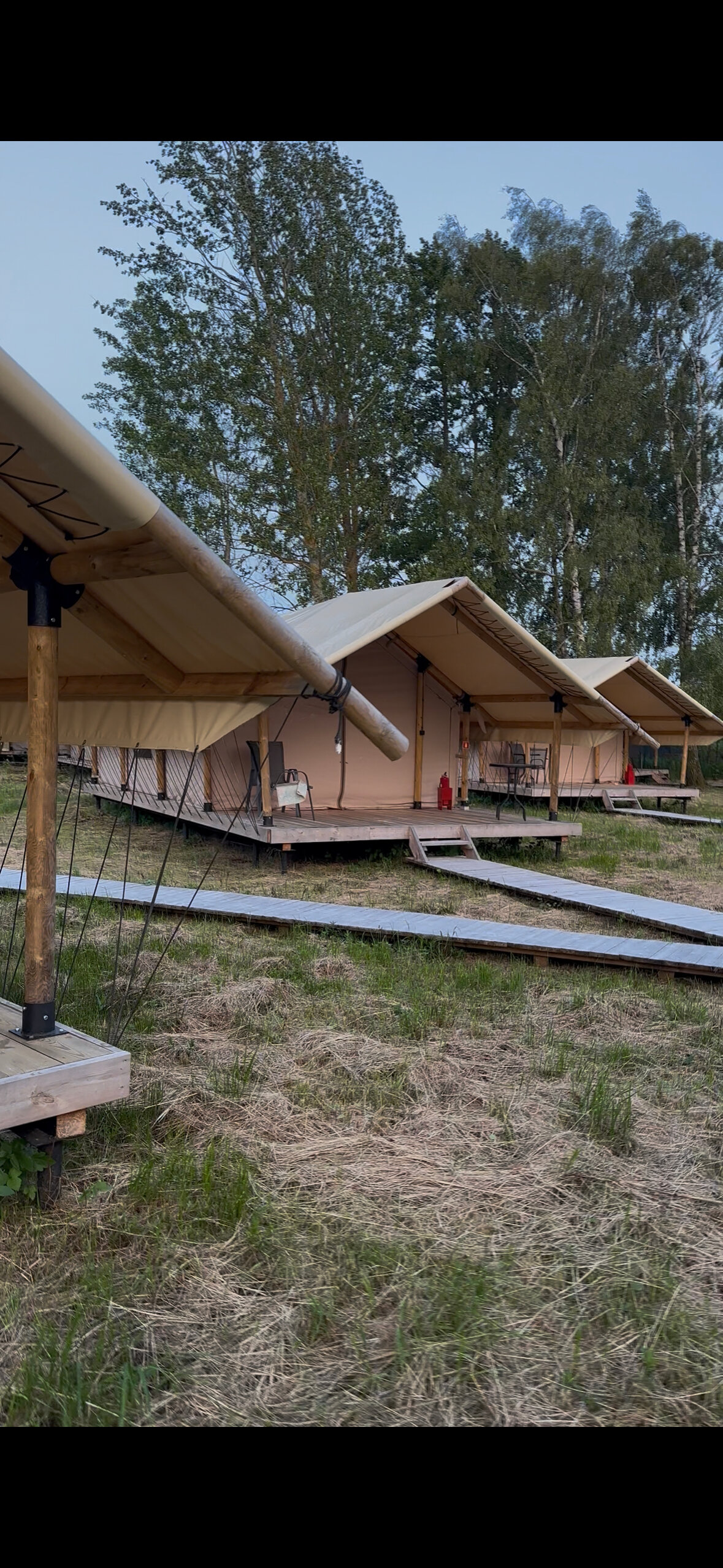 Фото Малина