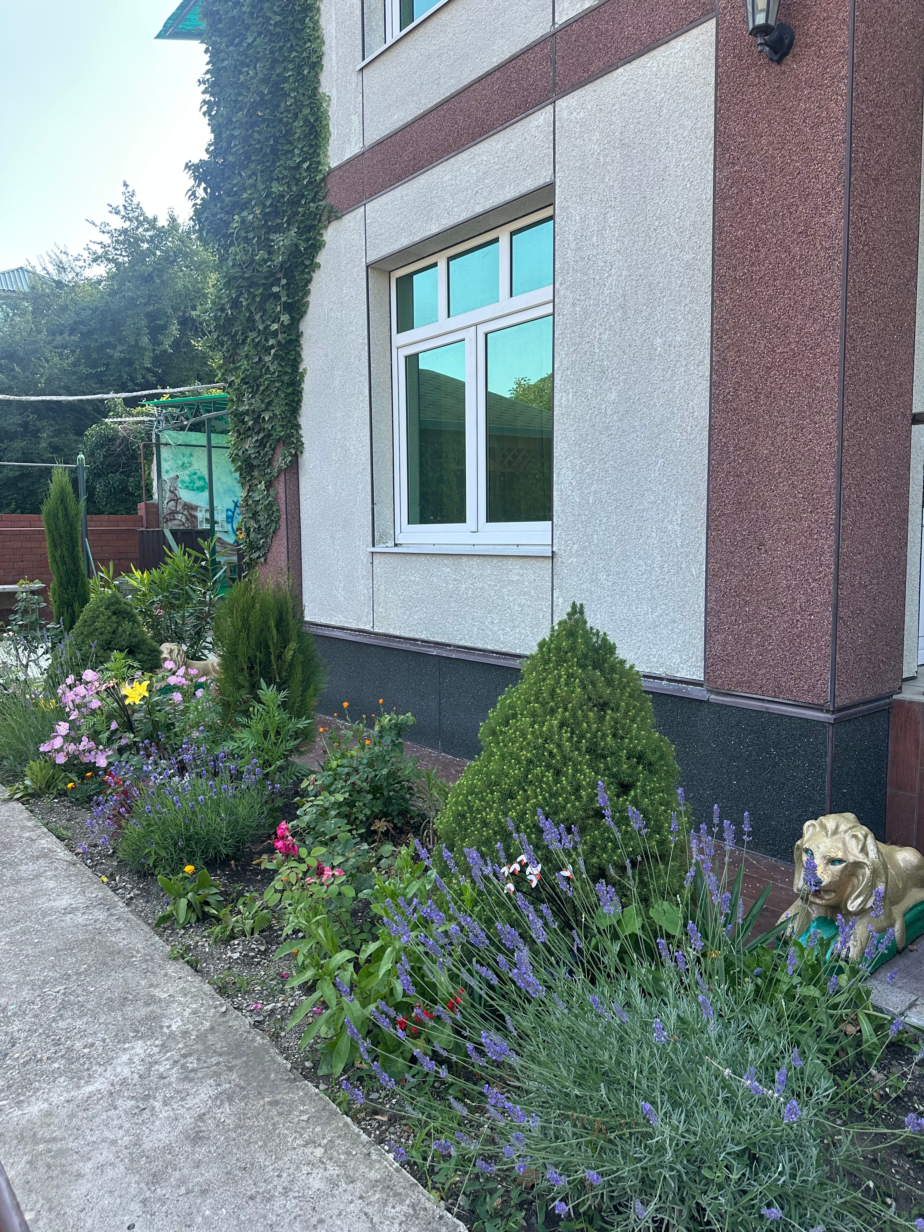 Фото Сибирячка