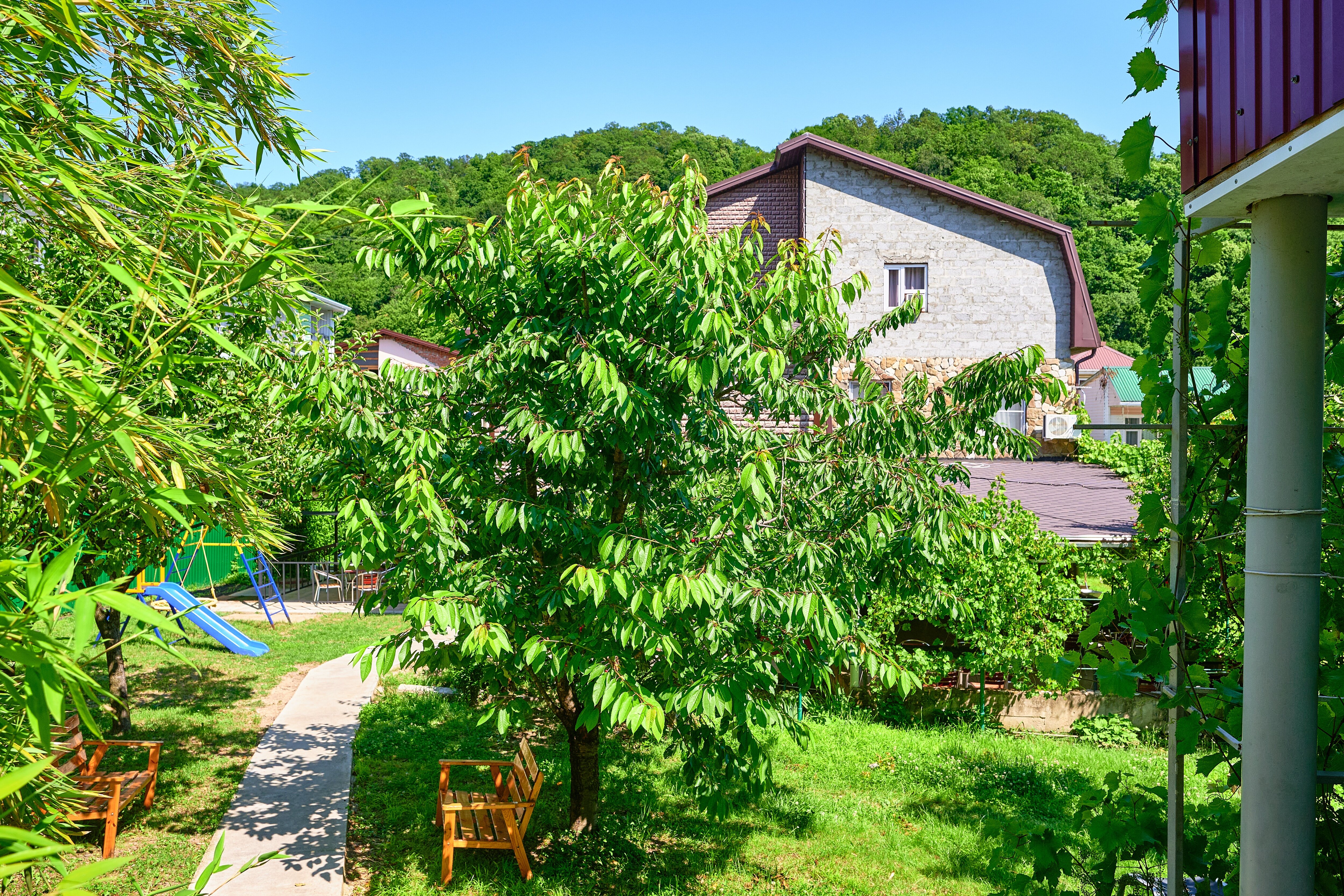 Фото Мечта - 3