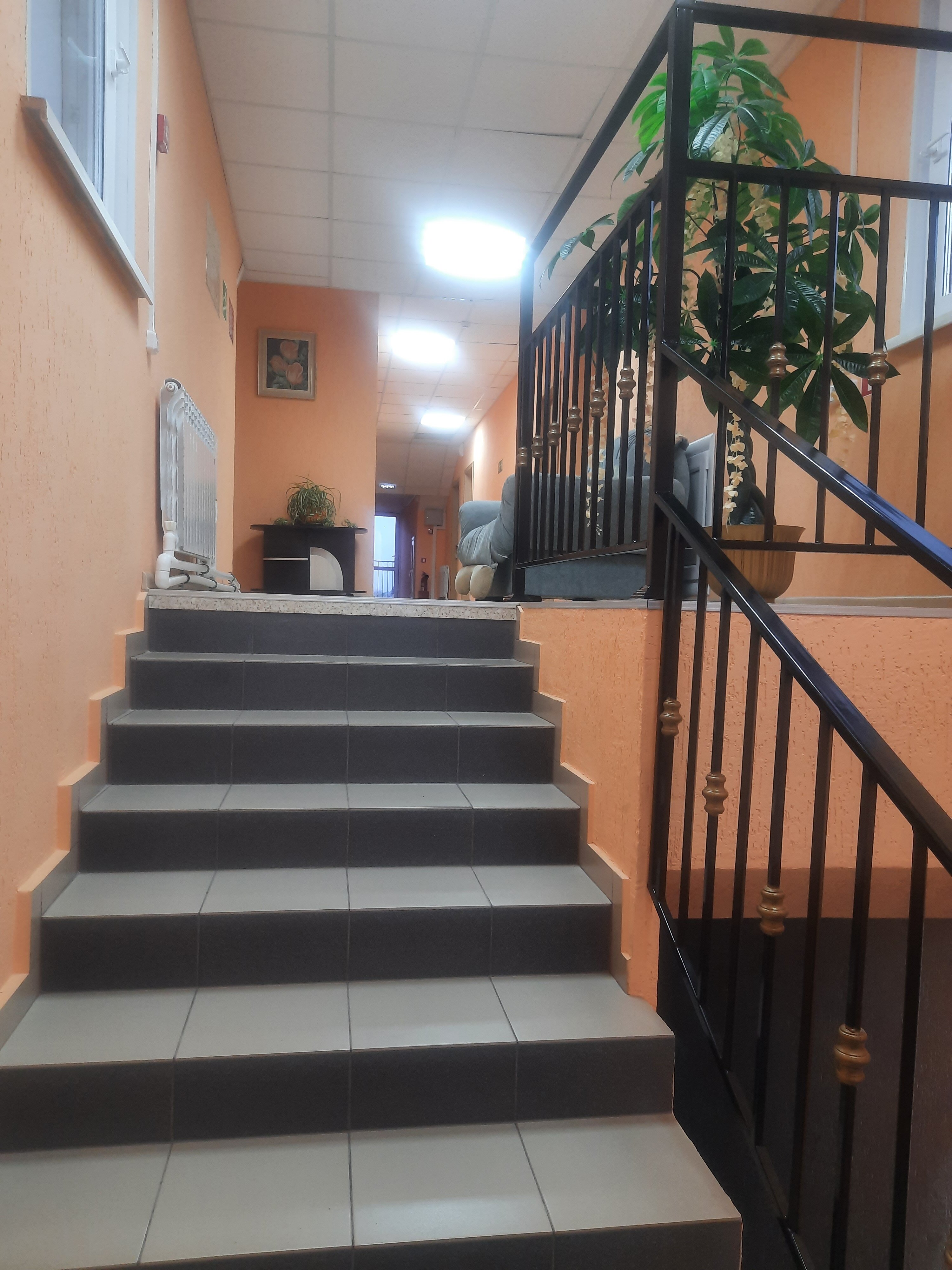 Фото Солнечная