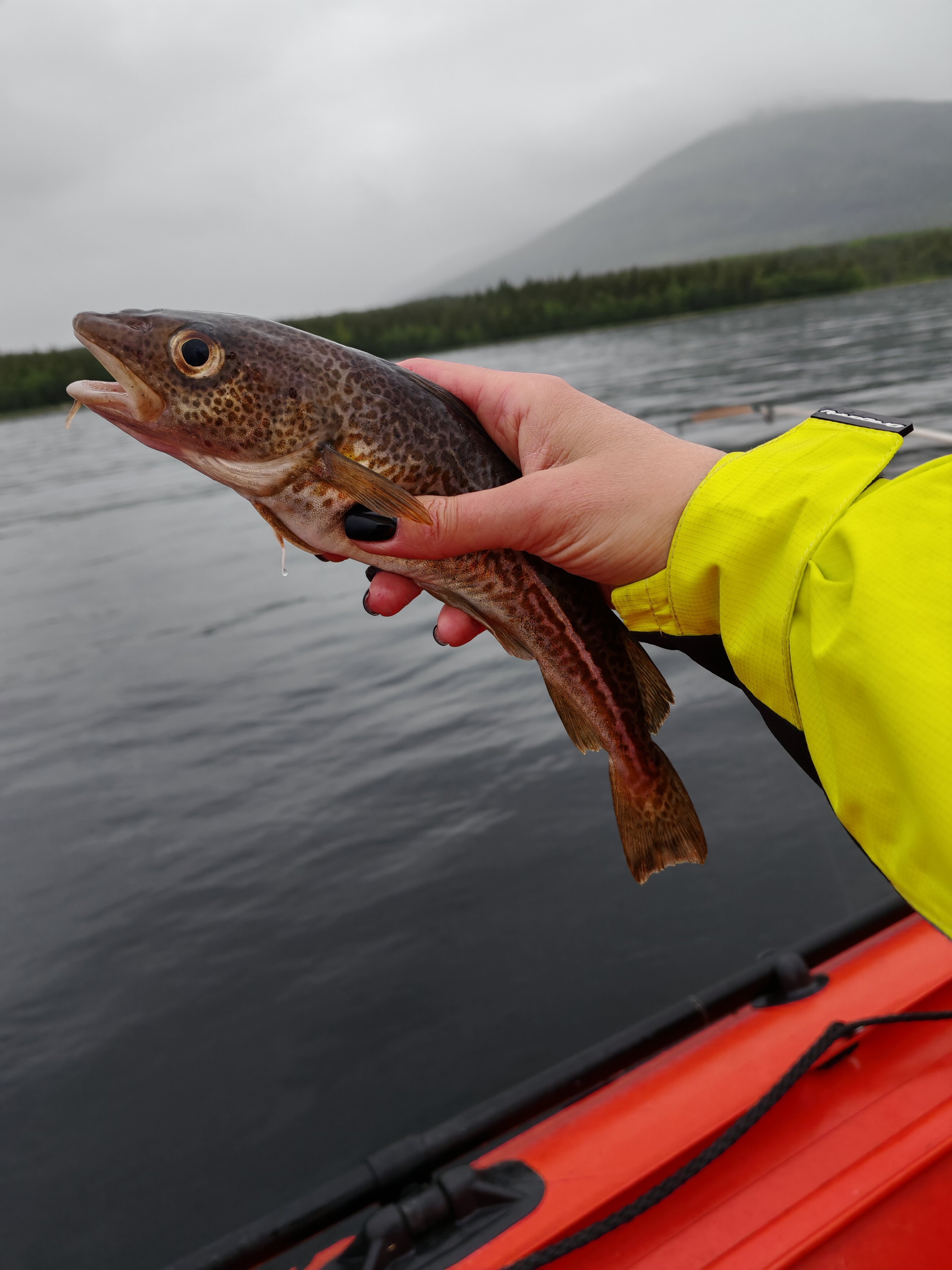 Фото Лувеньга река