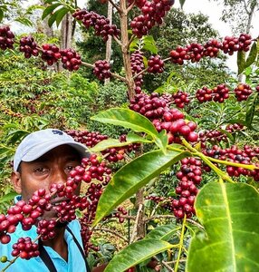 Jebena Specialty Coffee (30, 29 Street, Dubai Investments Park 2, Jebel Ali, Dubai), coffee shop