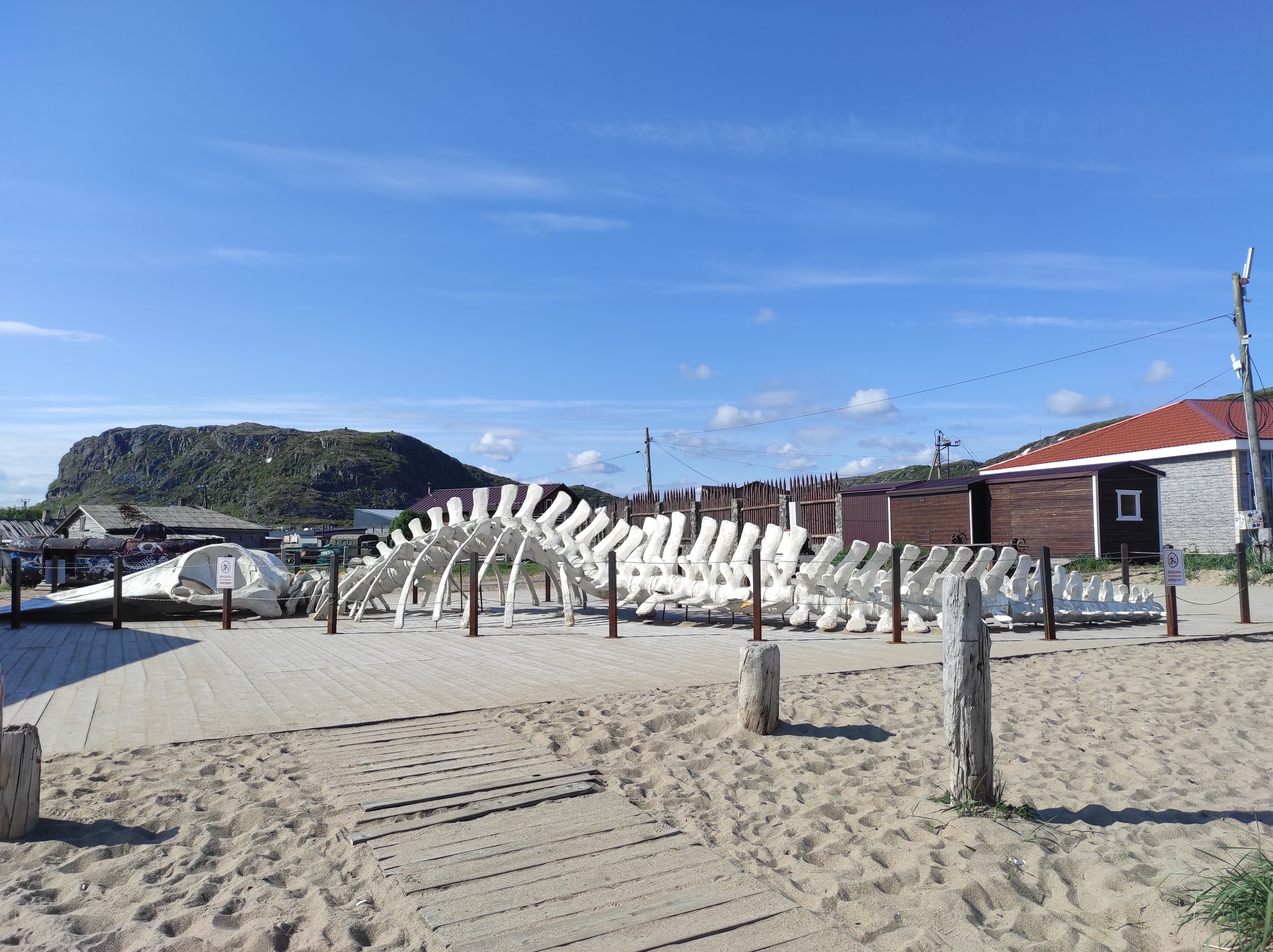 Фото Териберка тур