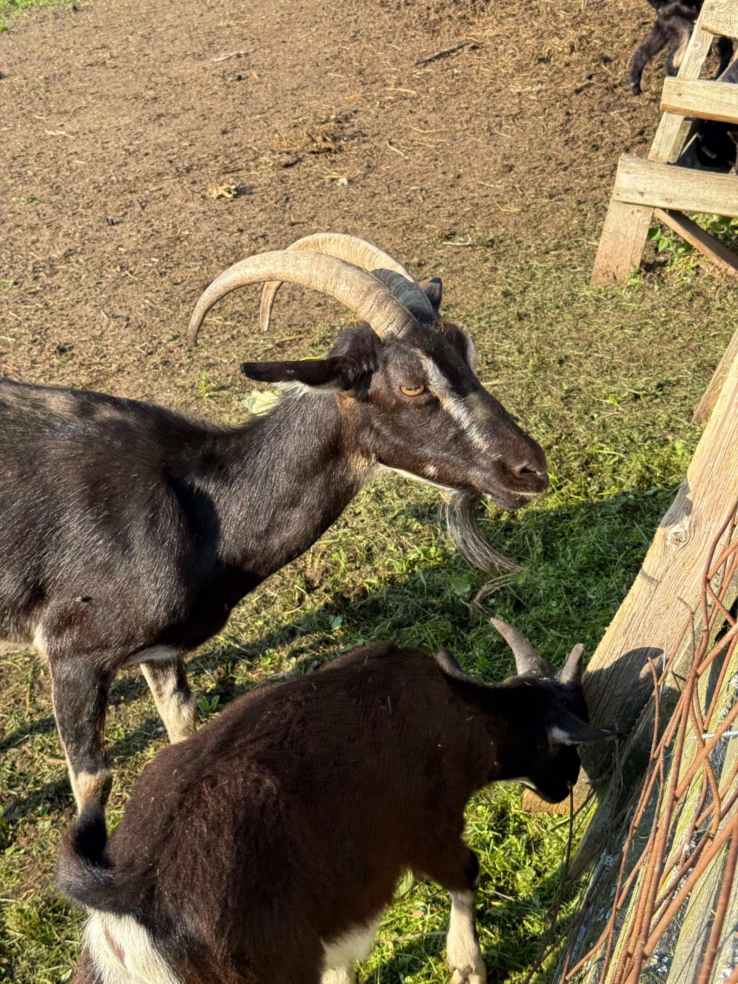 Фото Зюзино