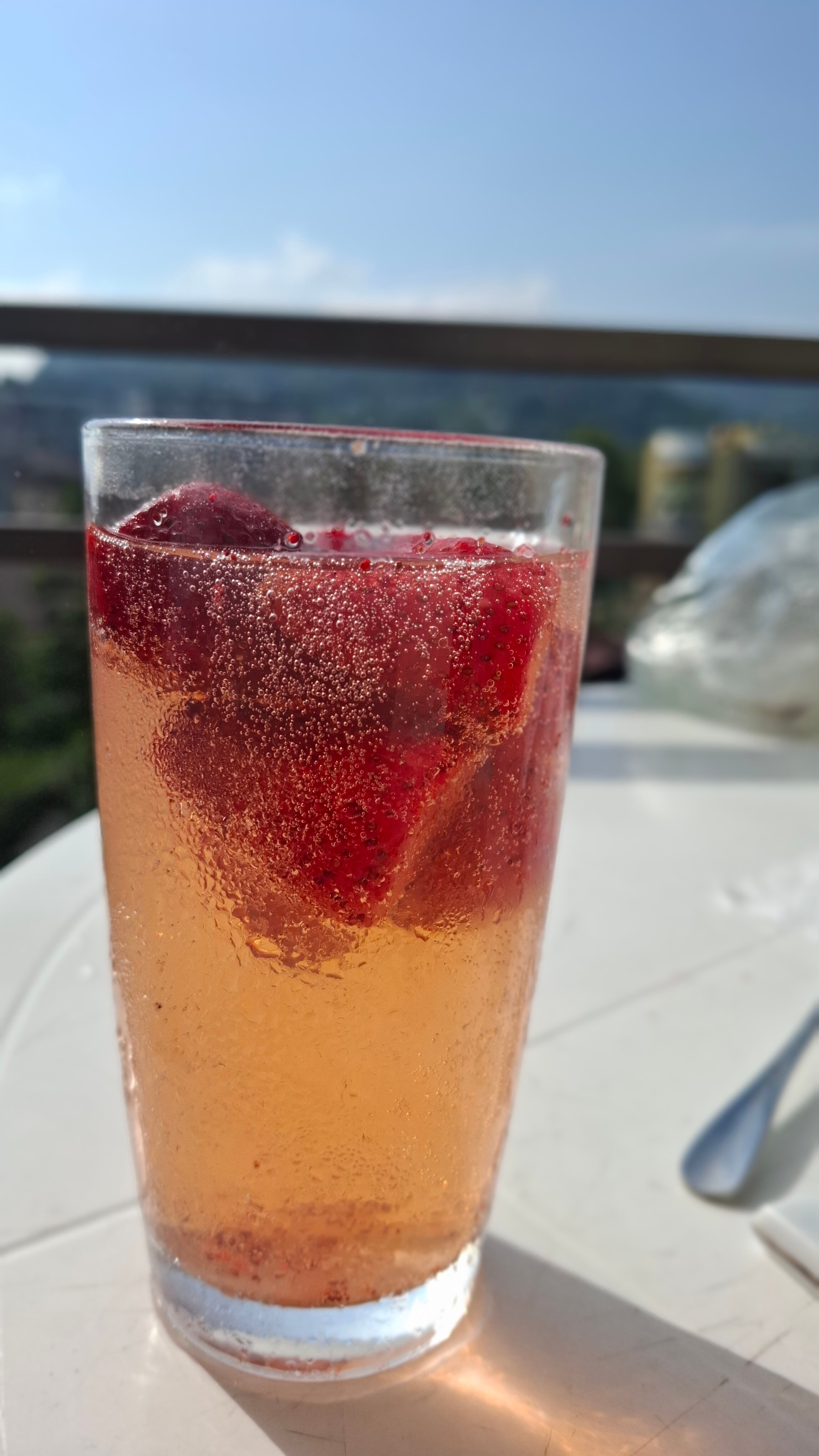 Фото Дельфин