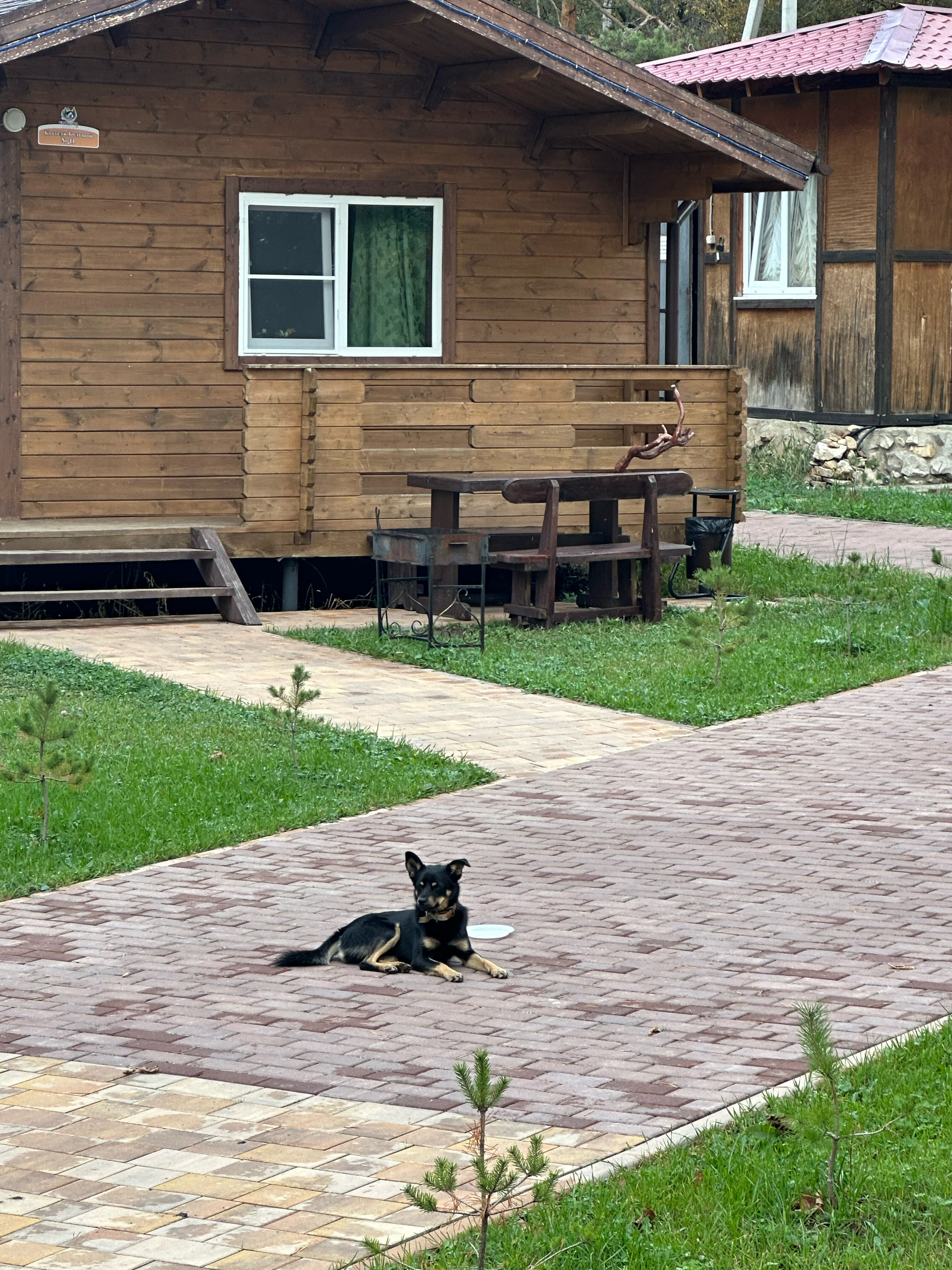 Фото Тцпио Экспедиция