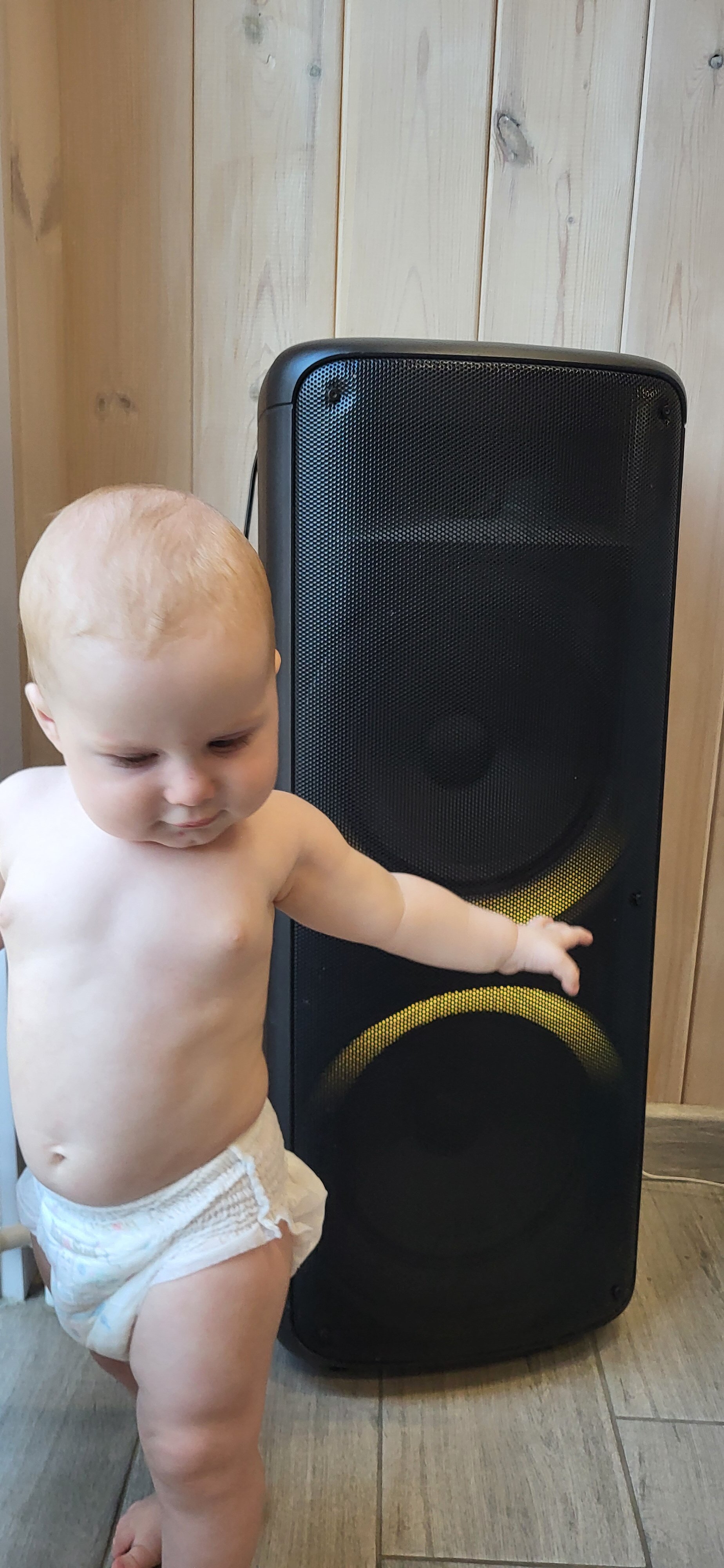 Фото Fox House Sheregesh