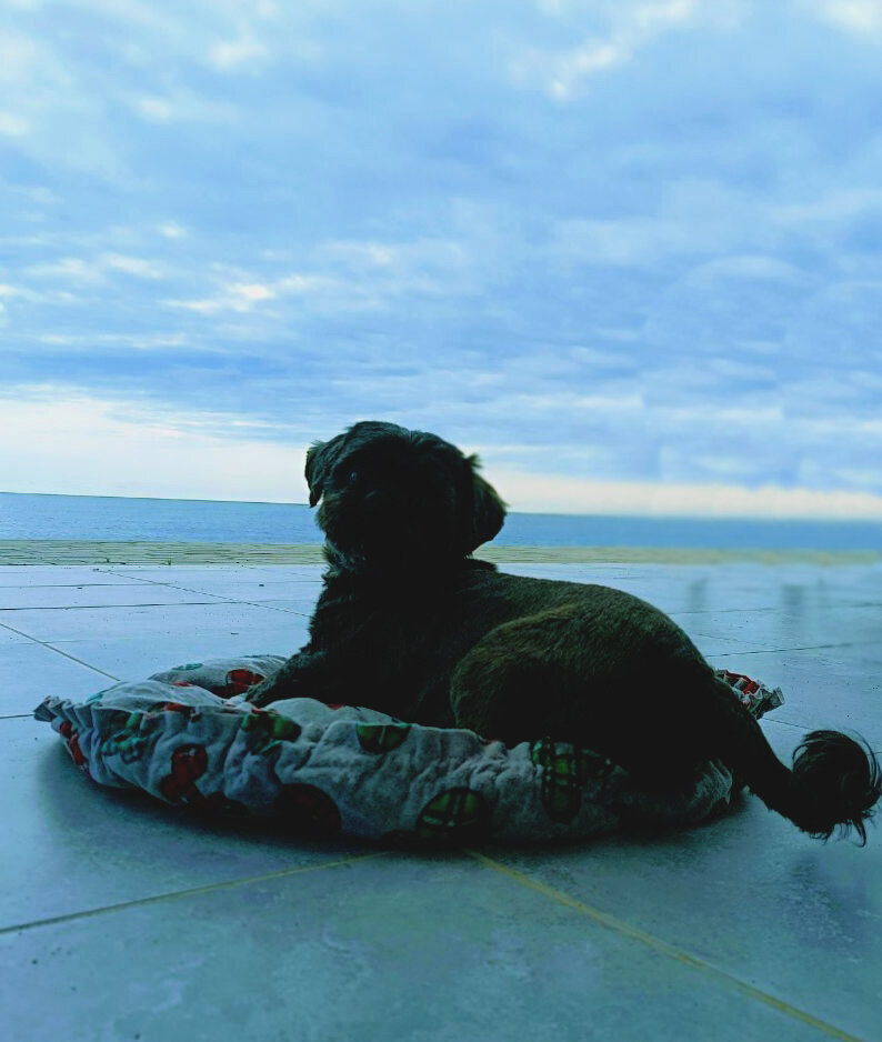 Фото Costa d’Ora